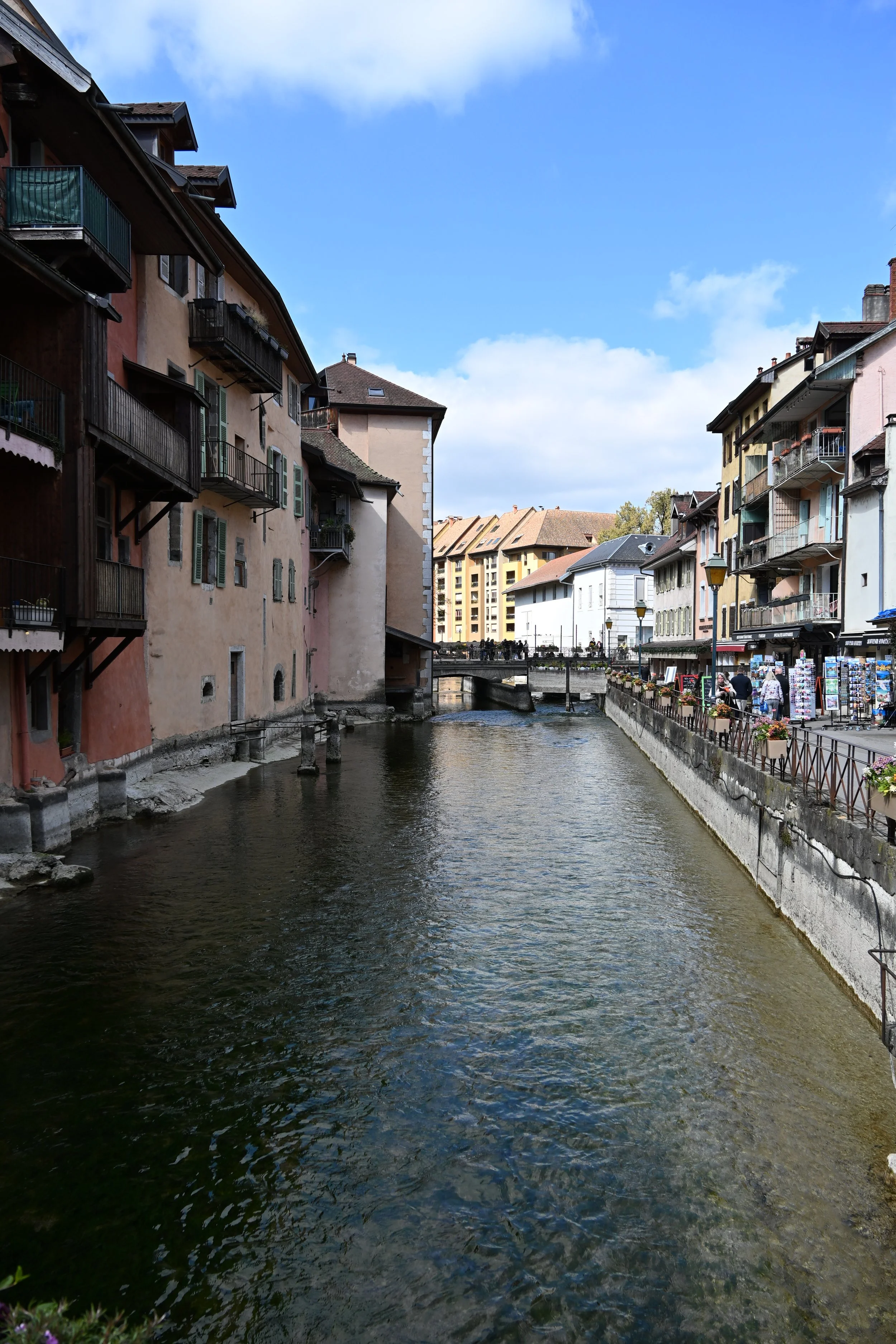 DSC_2380.JPG
