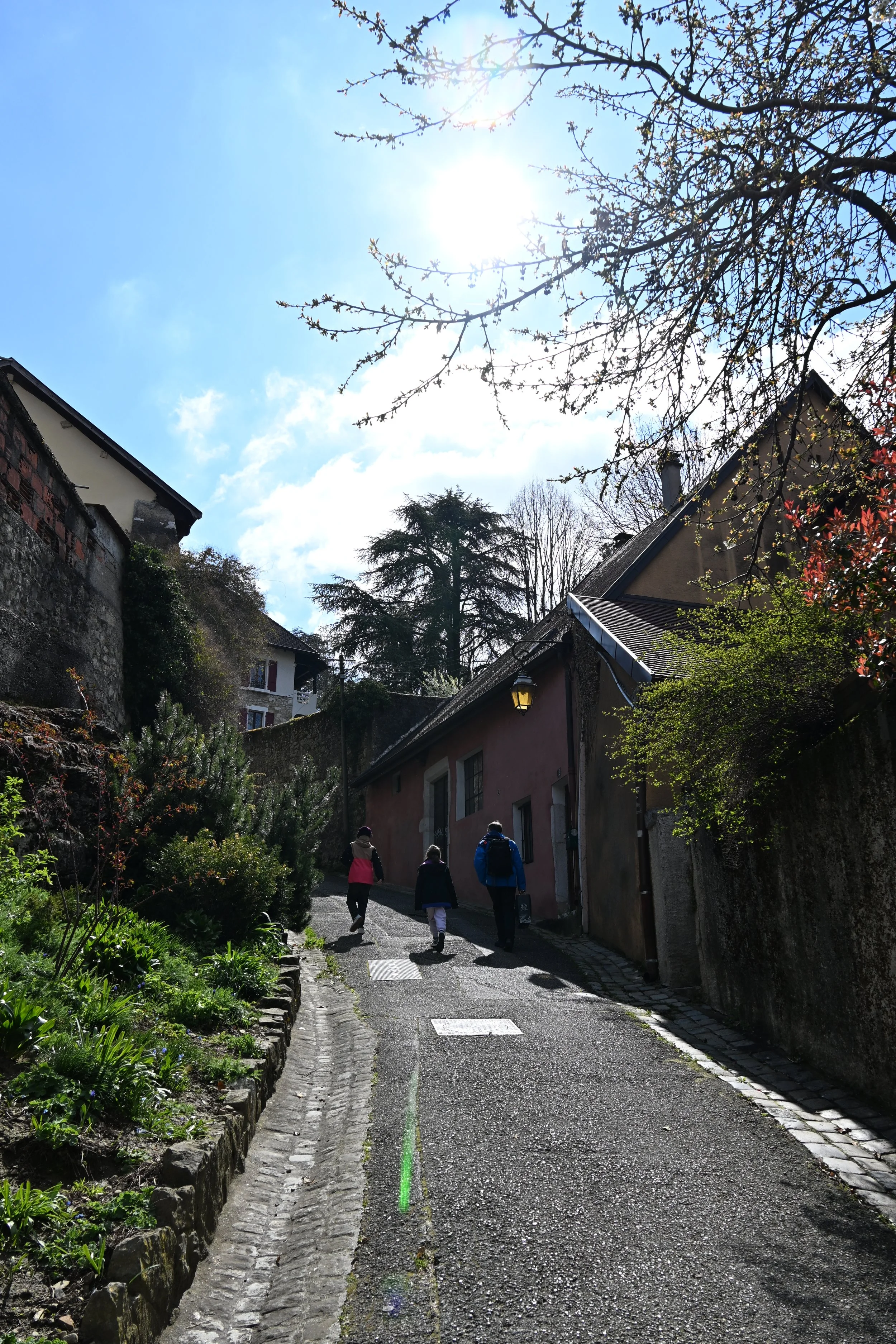 DSC_2398.JPG