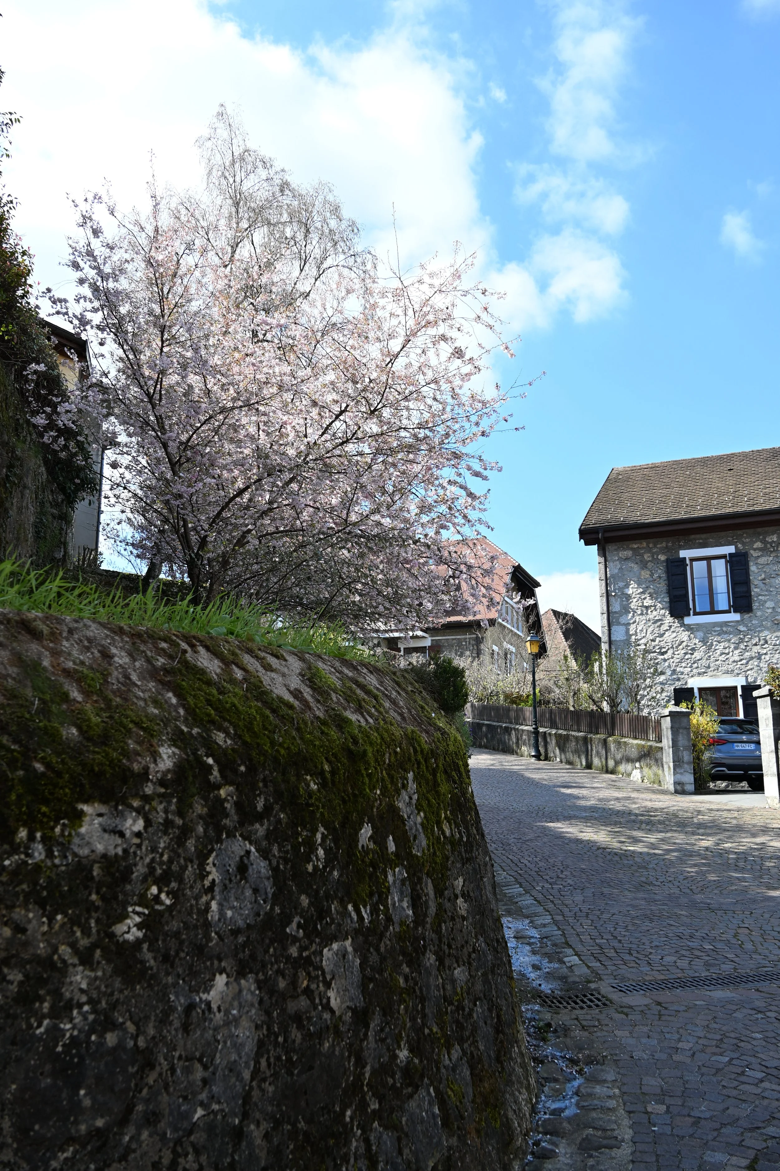 DSC_2403.JPG