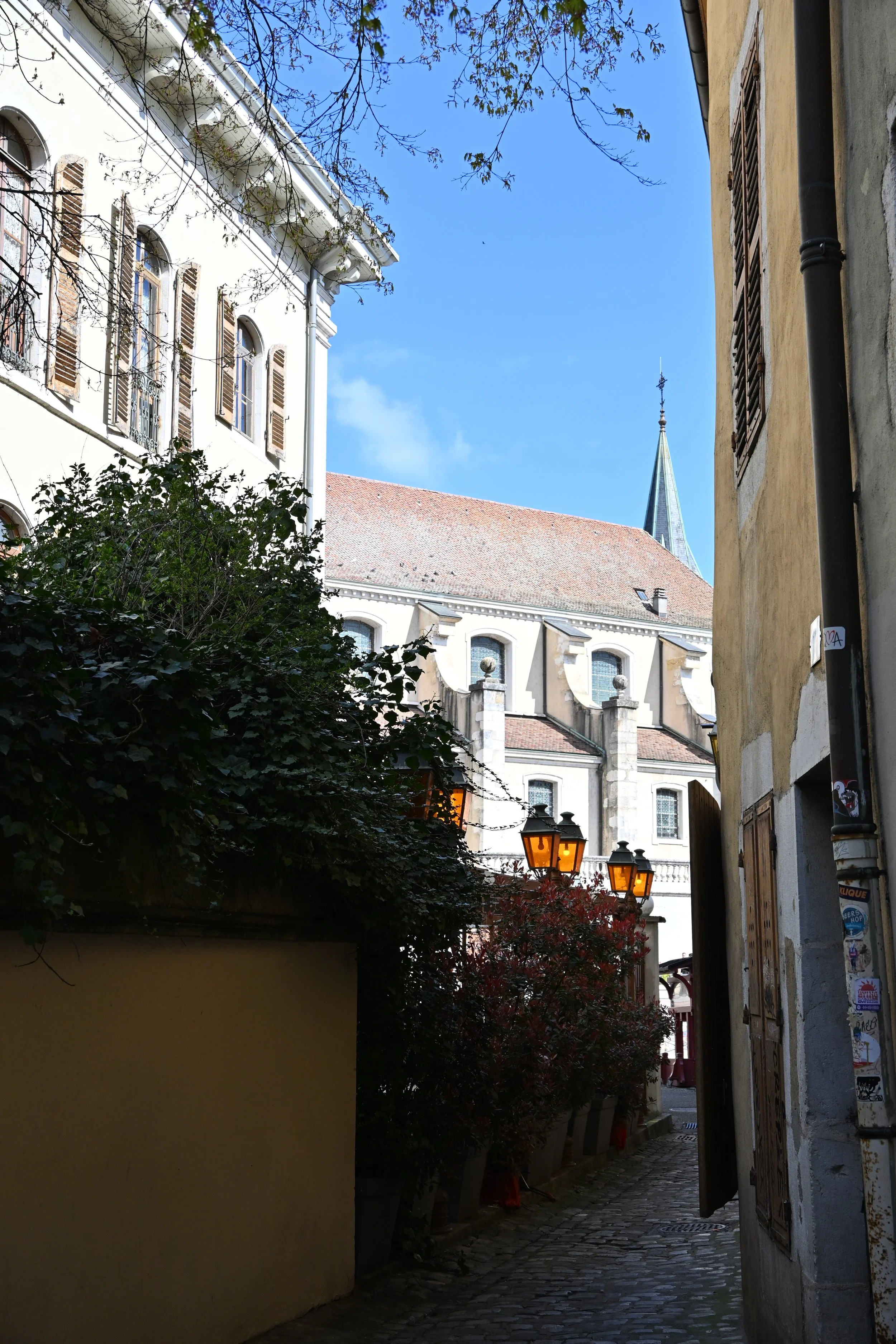 DSC_2412.JPG