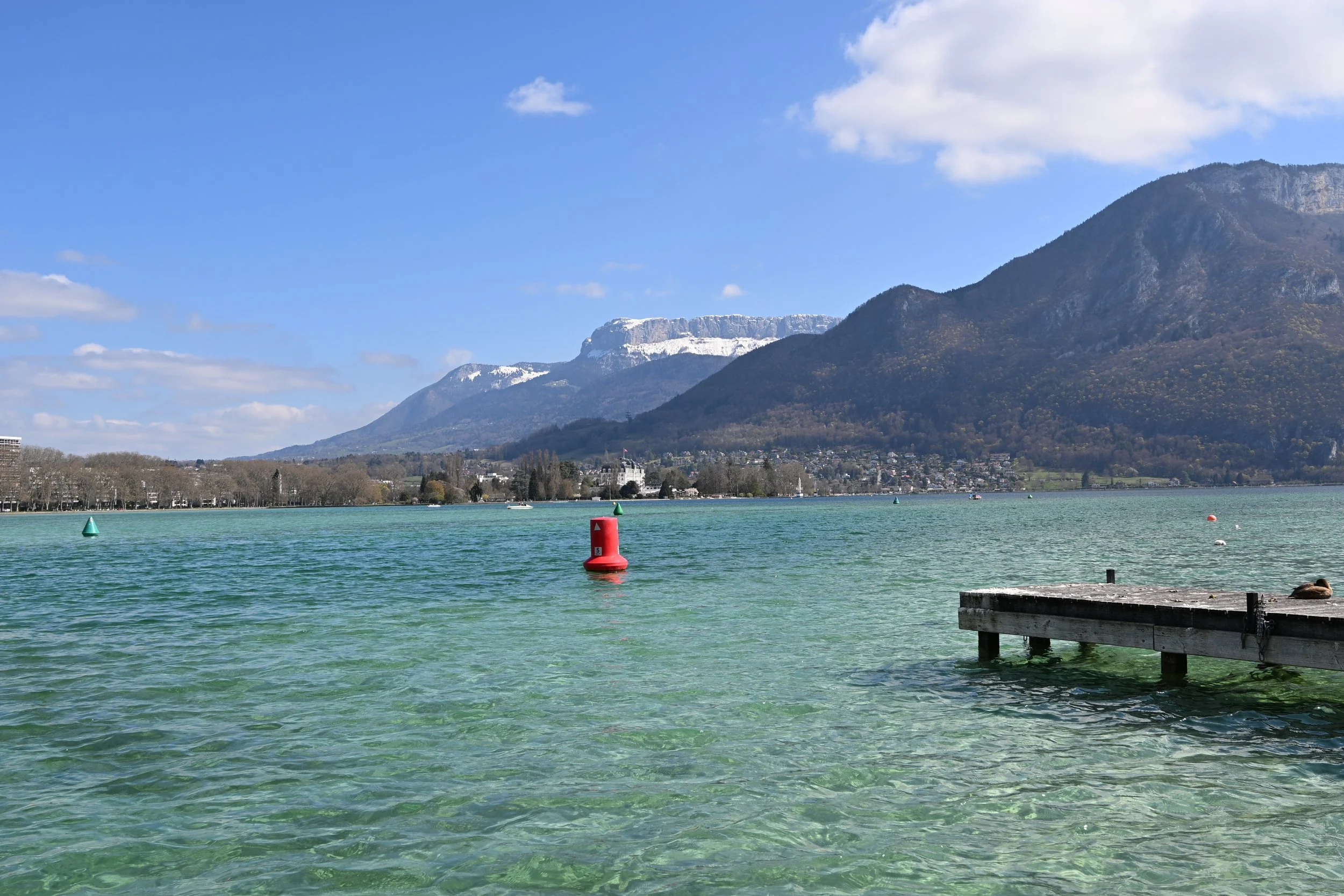 DSC_2416.JPG
