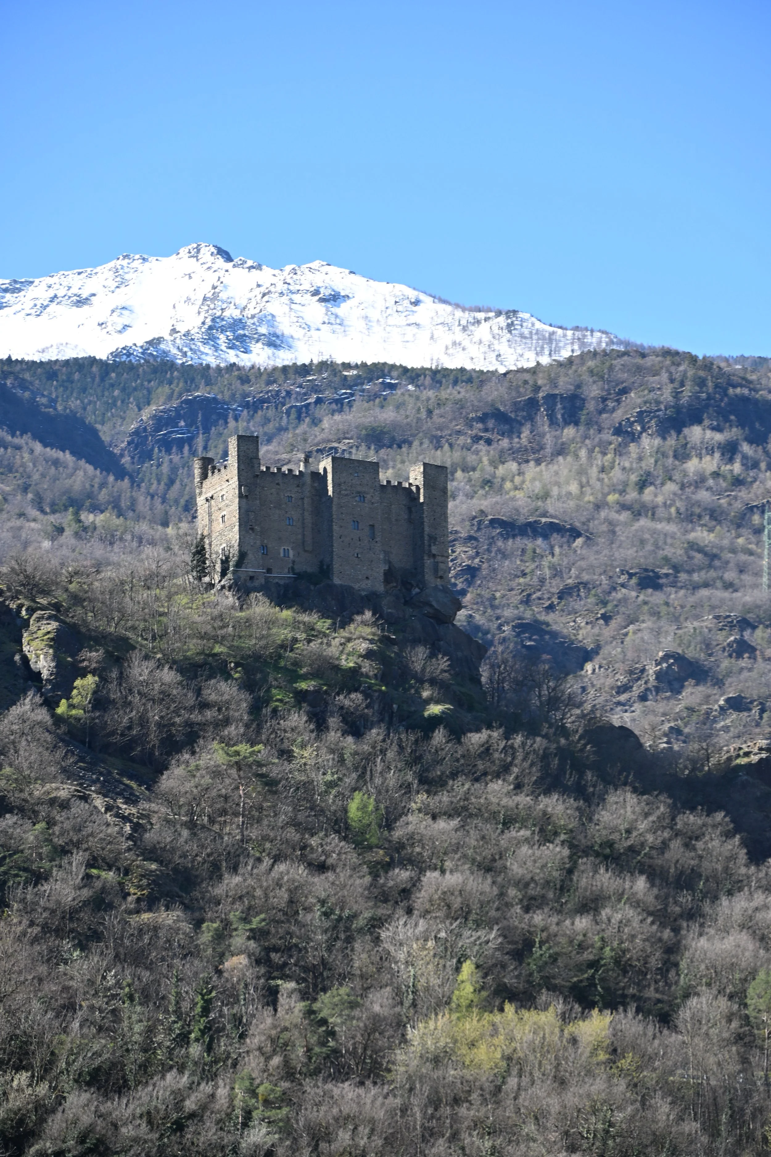 DSC_2512.JPG