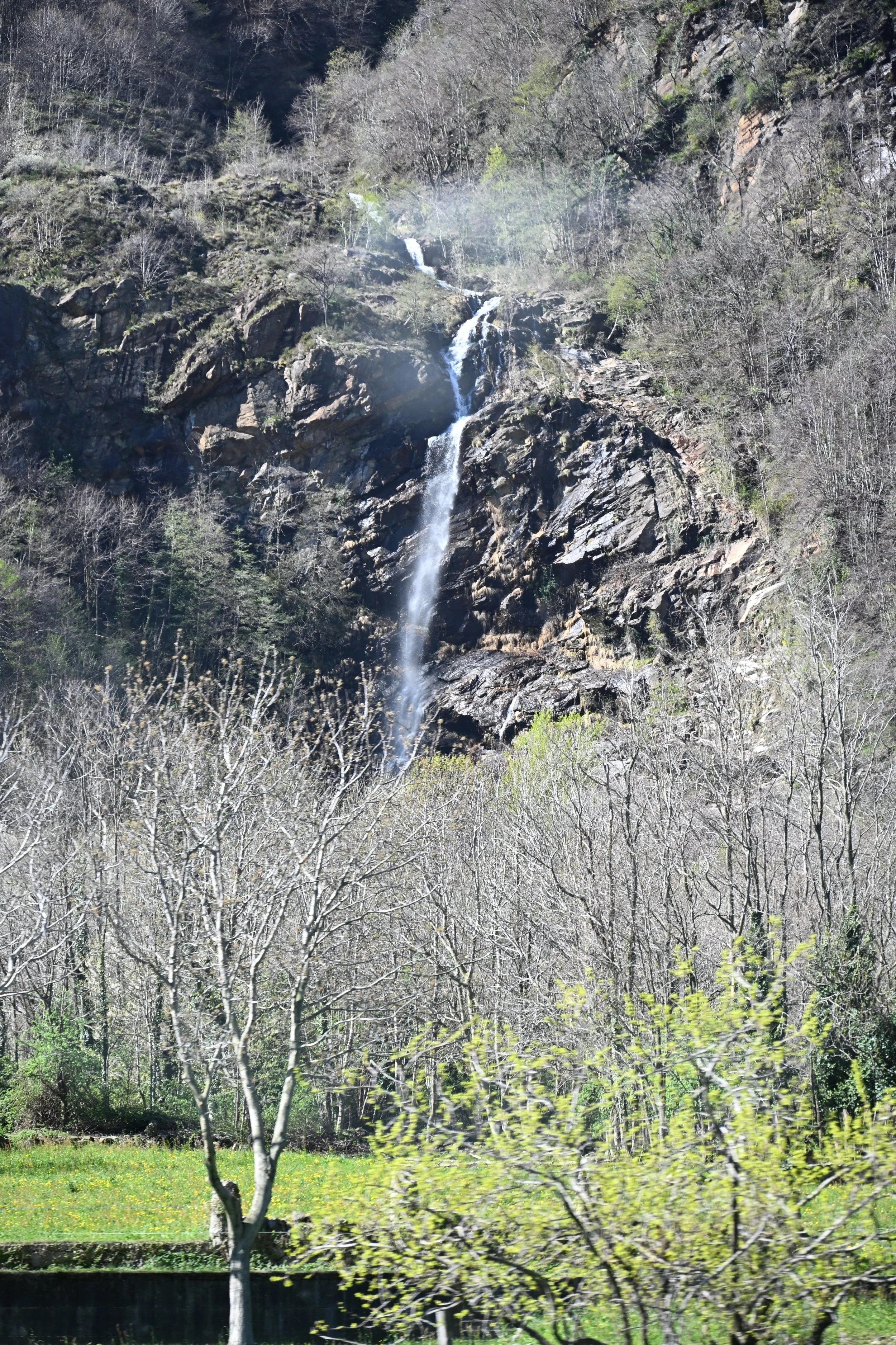 DSC_2520.JPG