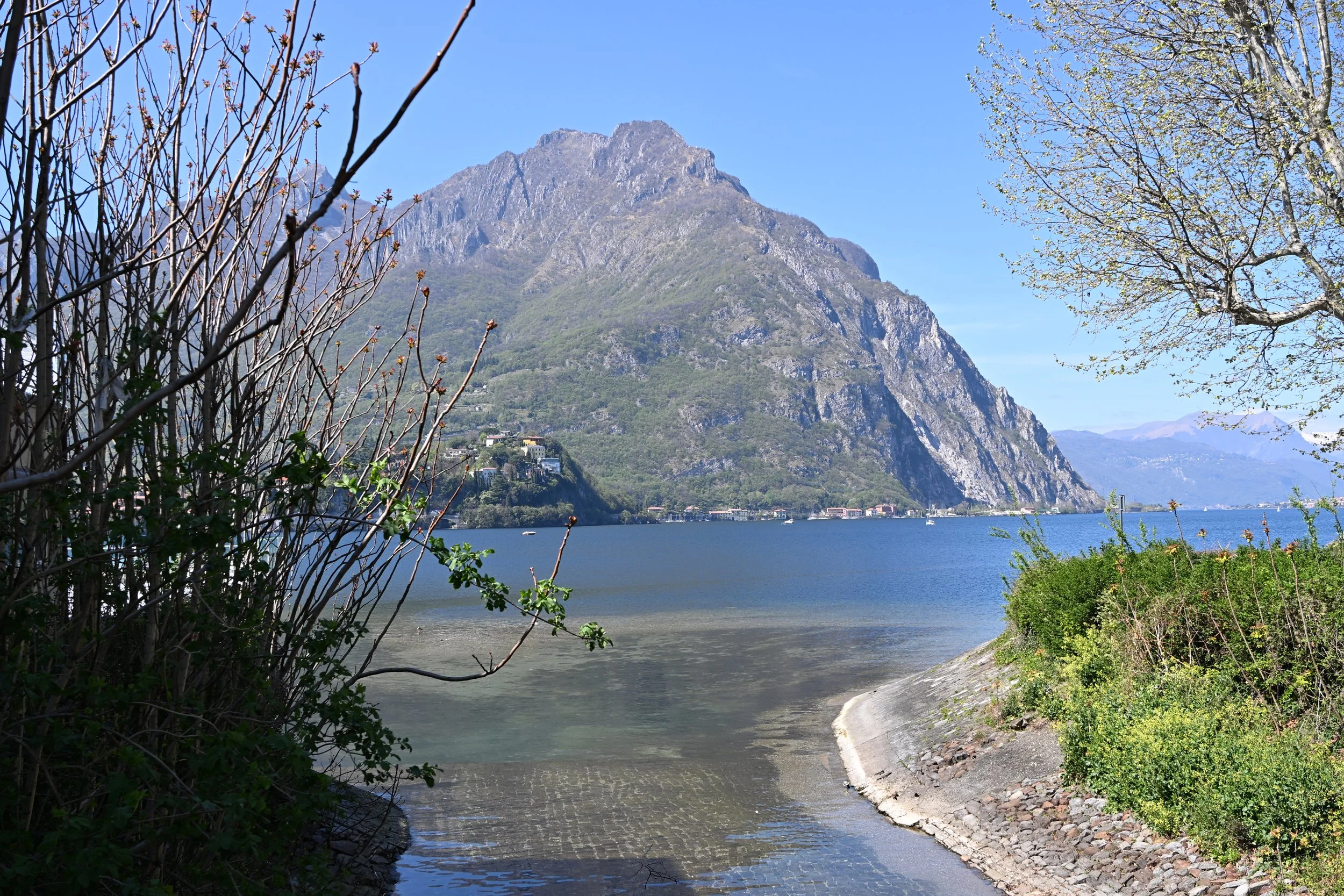 DSC_2528.JPG