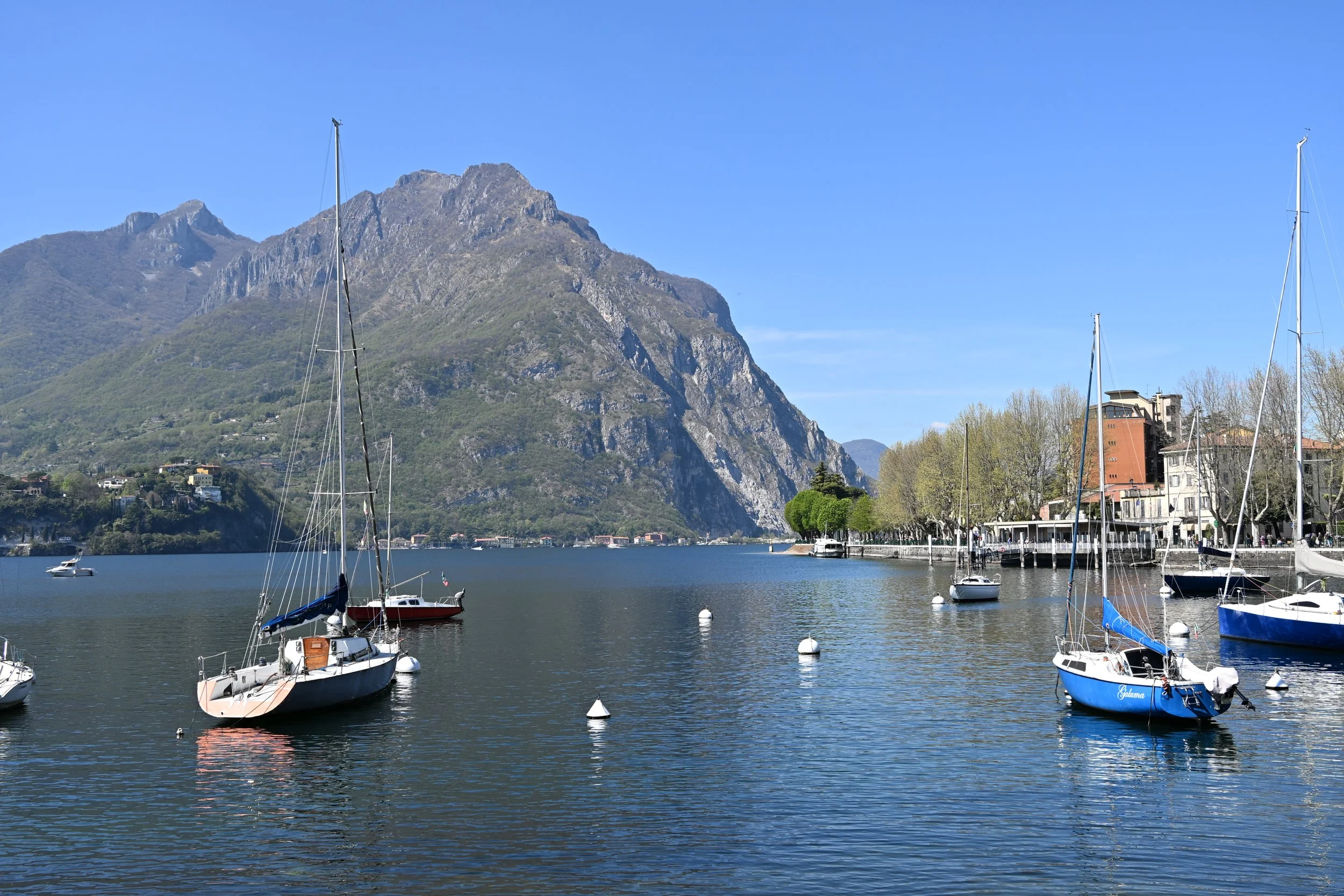 DSC_2530.JPG