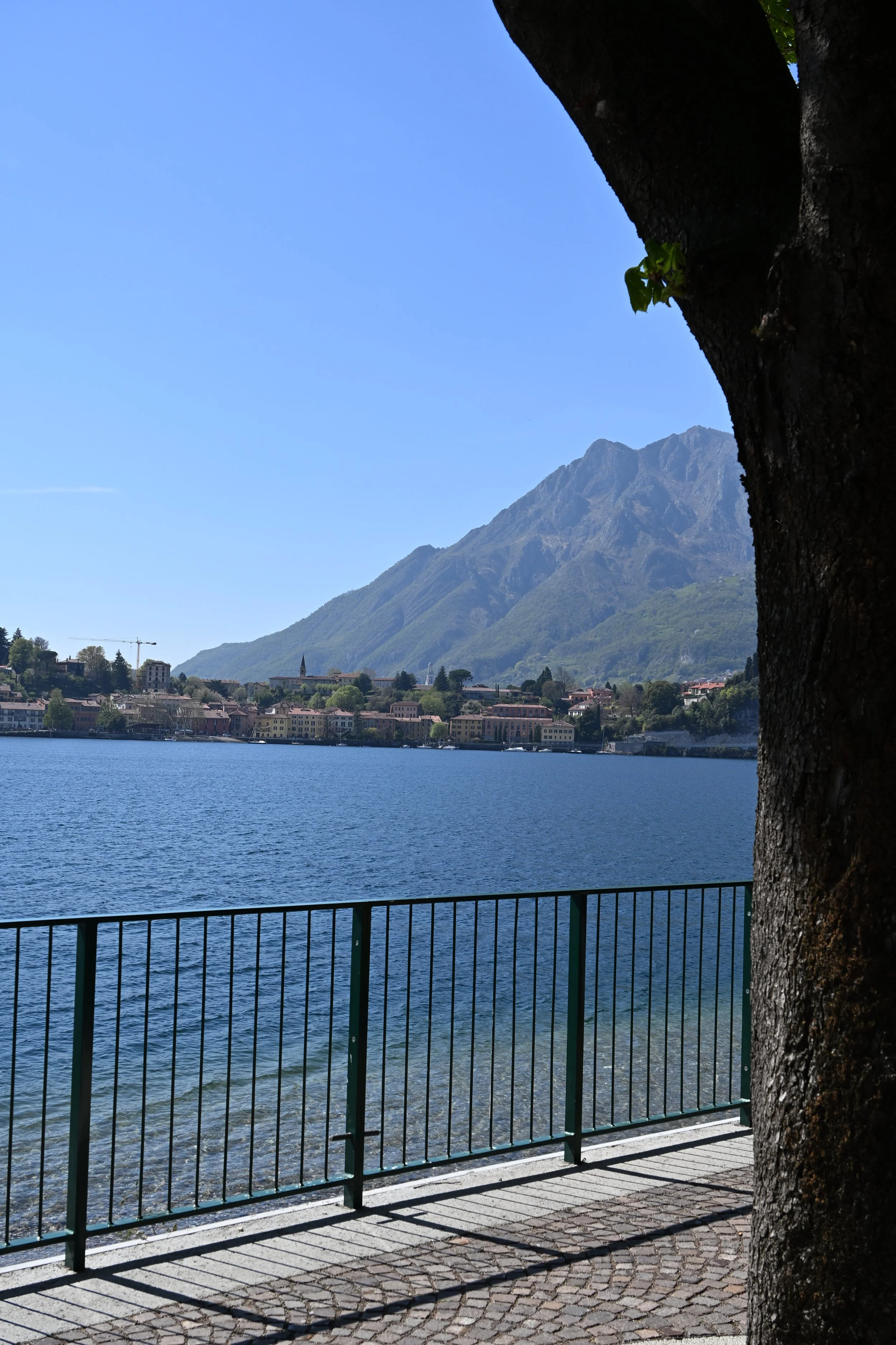 DSC_2548.JPG
