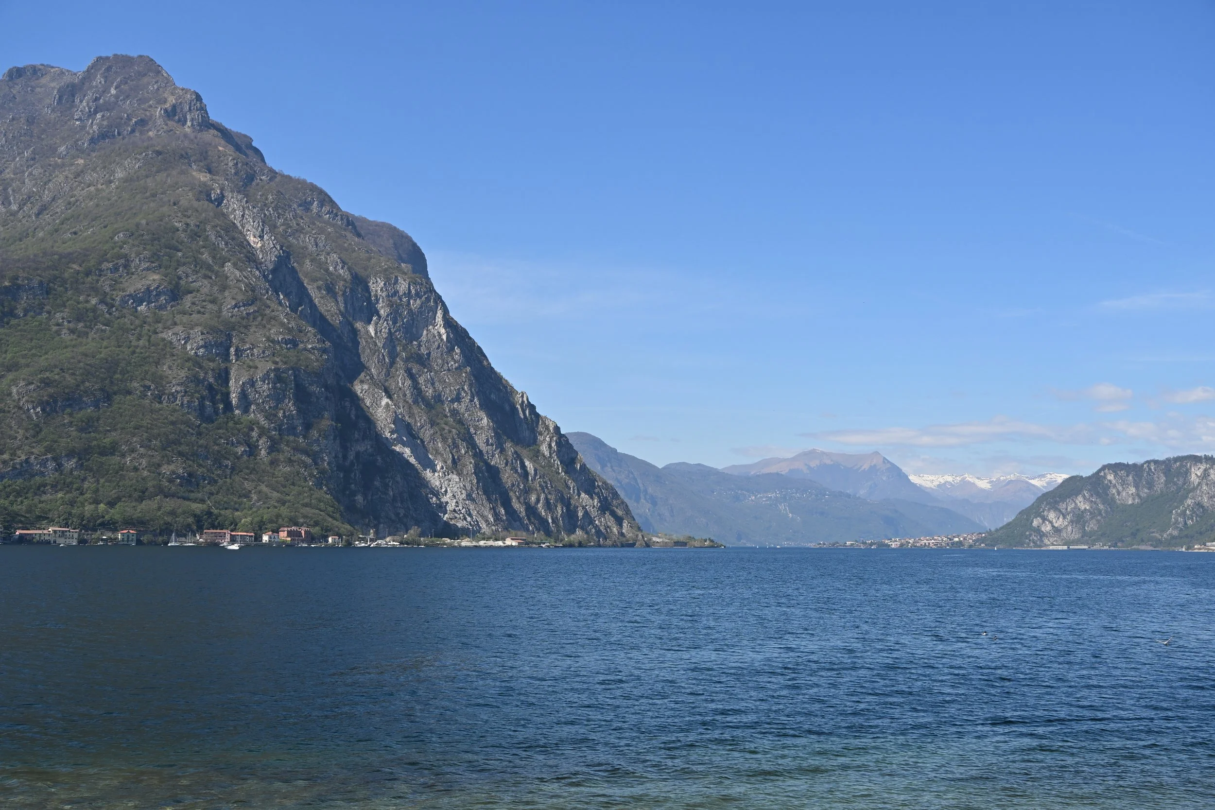 DSC_2555.JPG