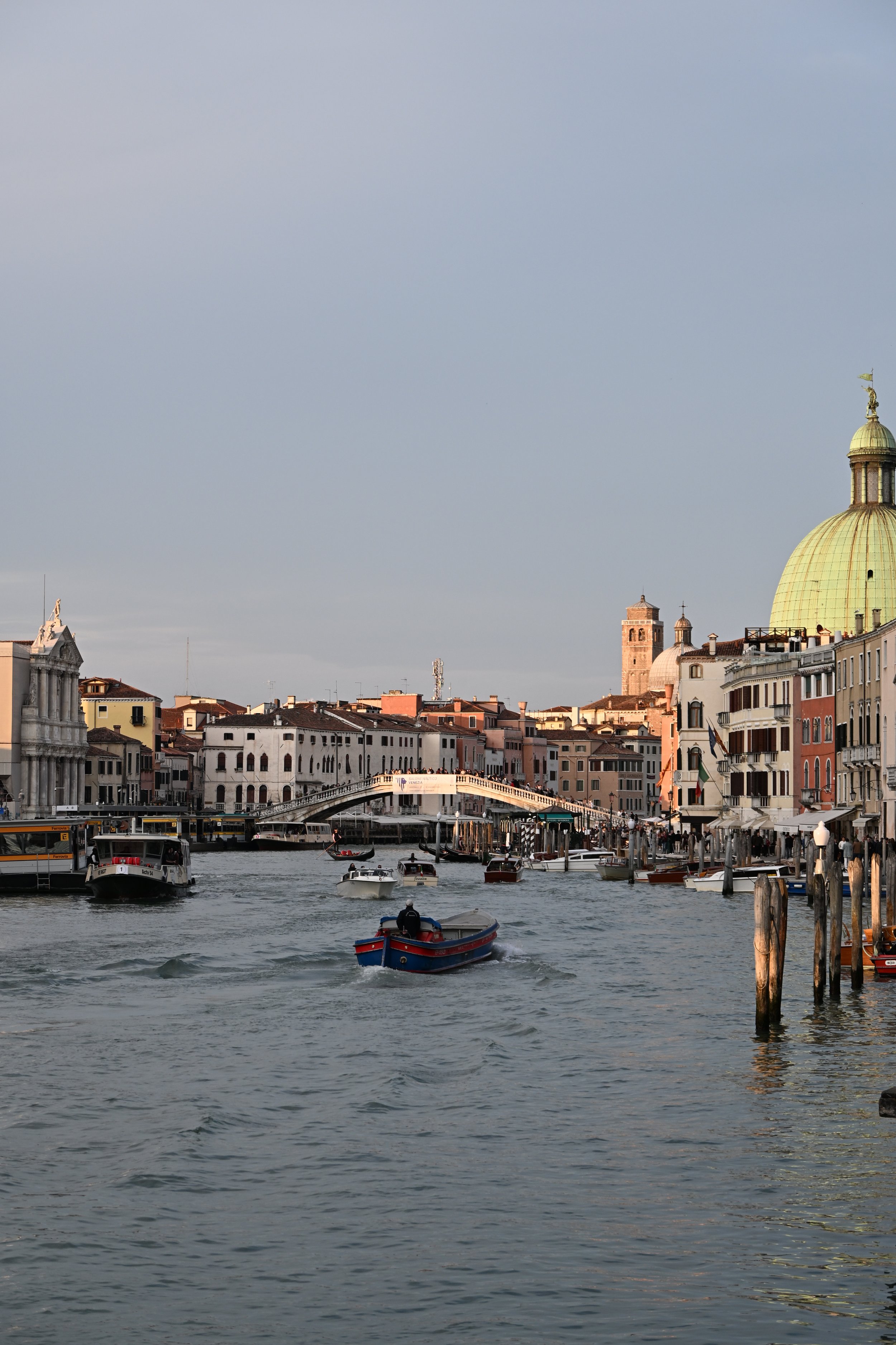 DSC_2631.JPG