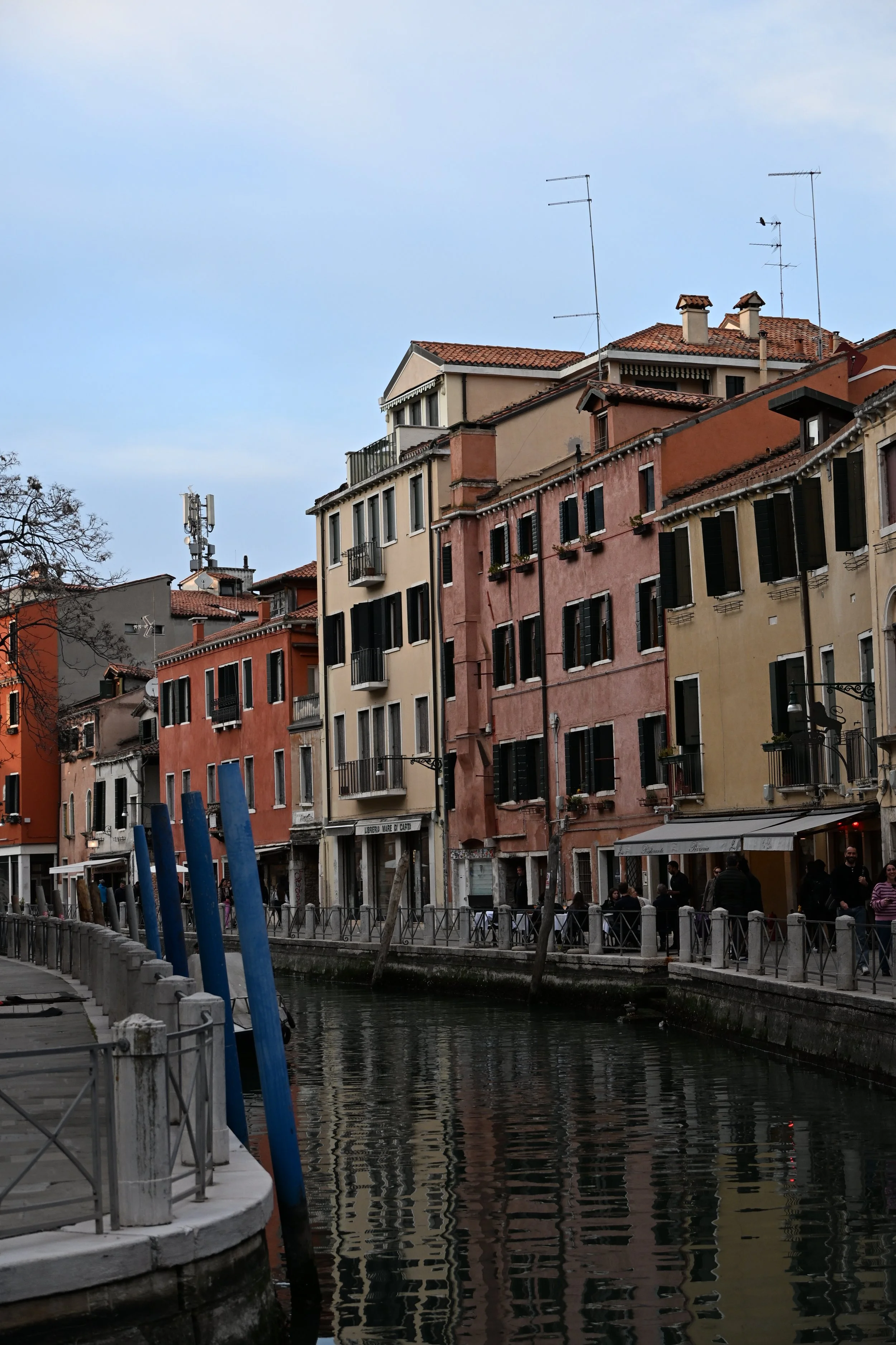 DSC_2642.JPG