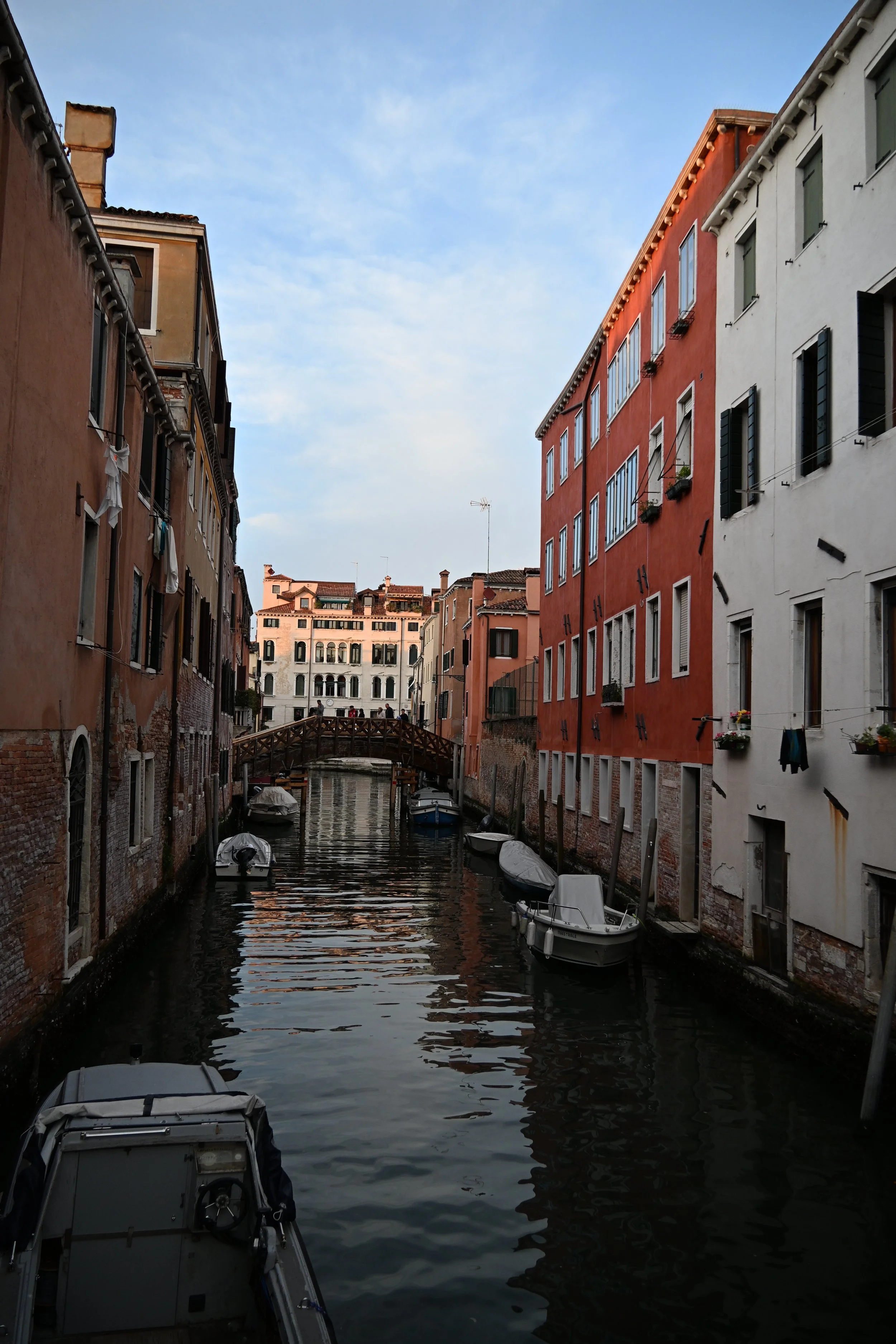 DSC_2650.JPG
