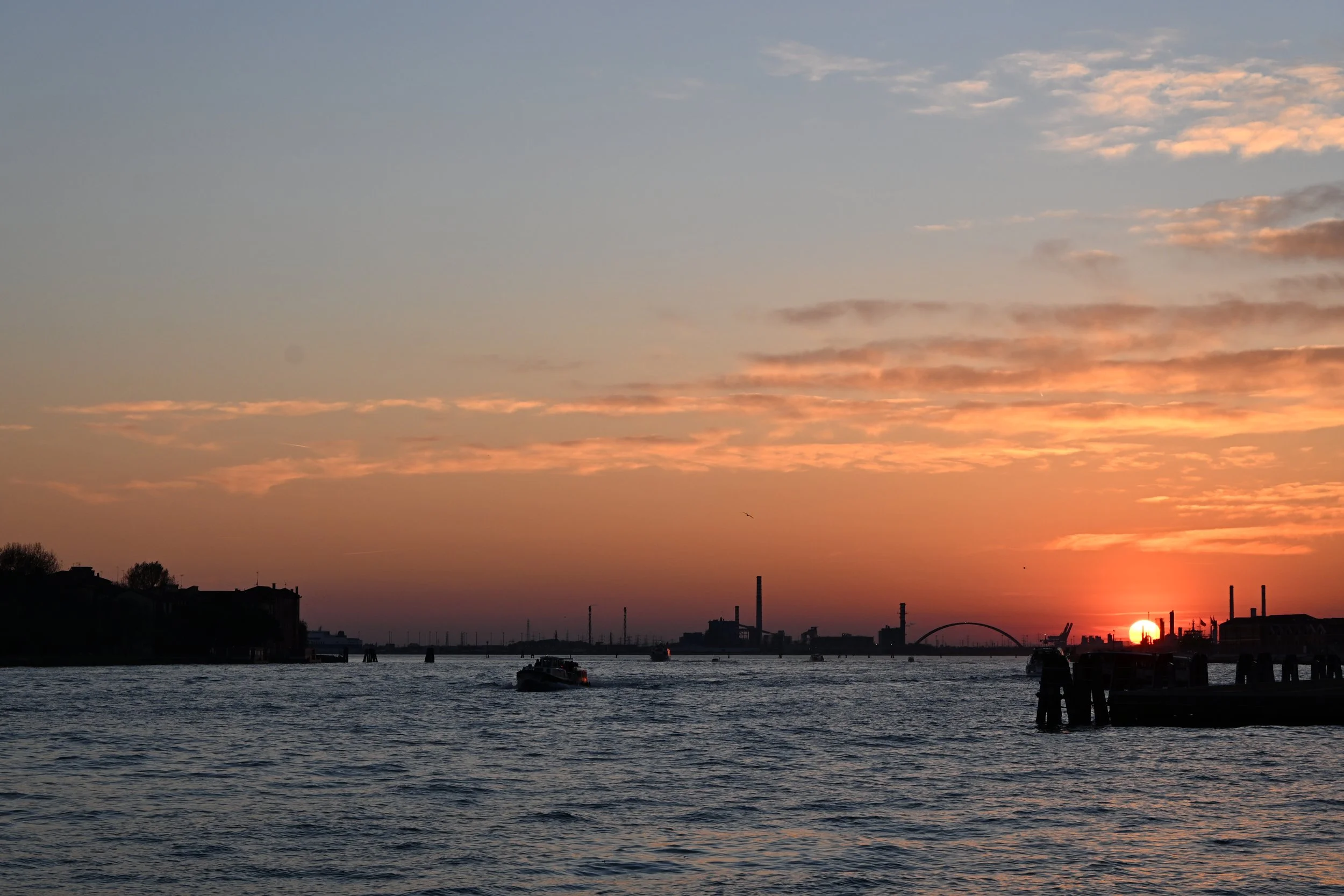 DSC_2677.JPG