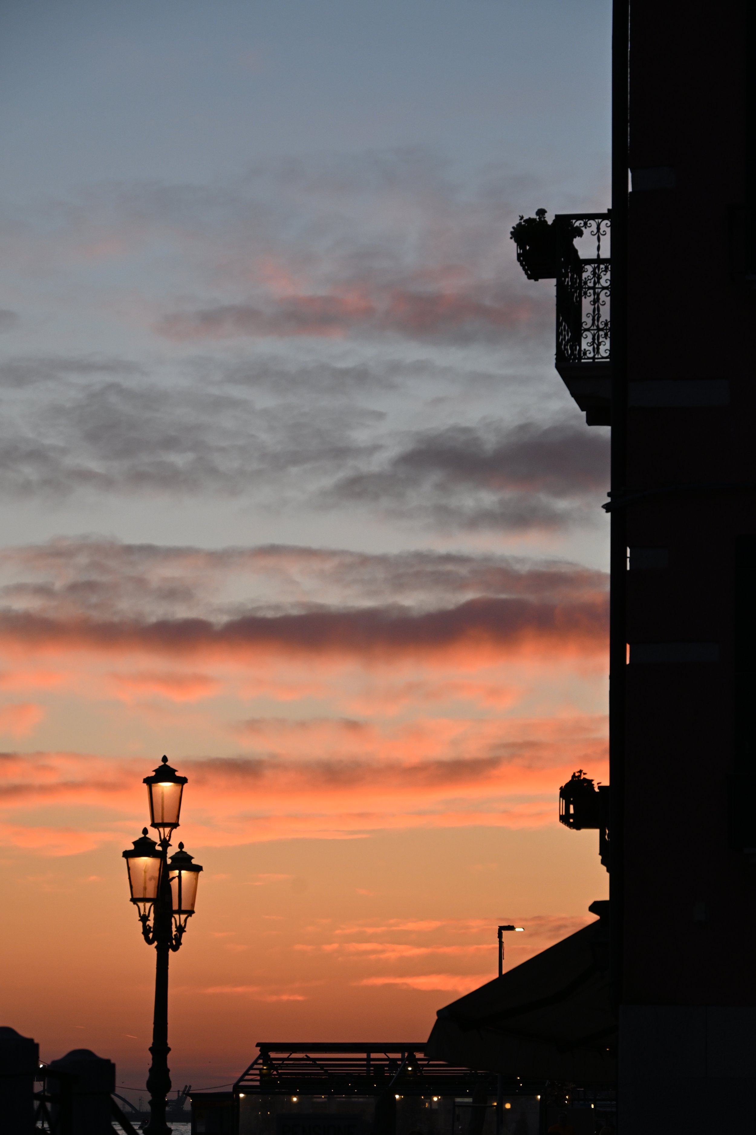DSC_2704.JPG