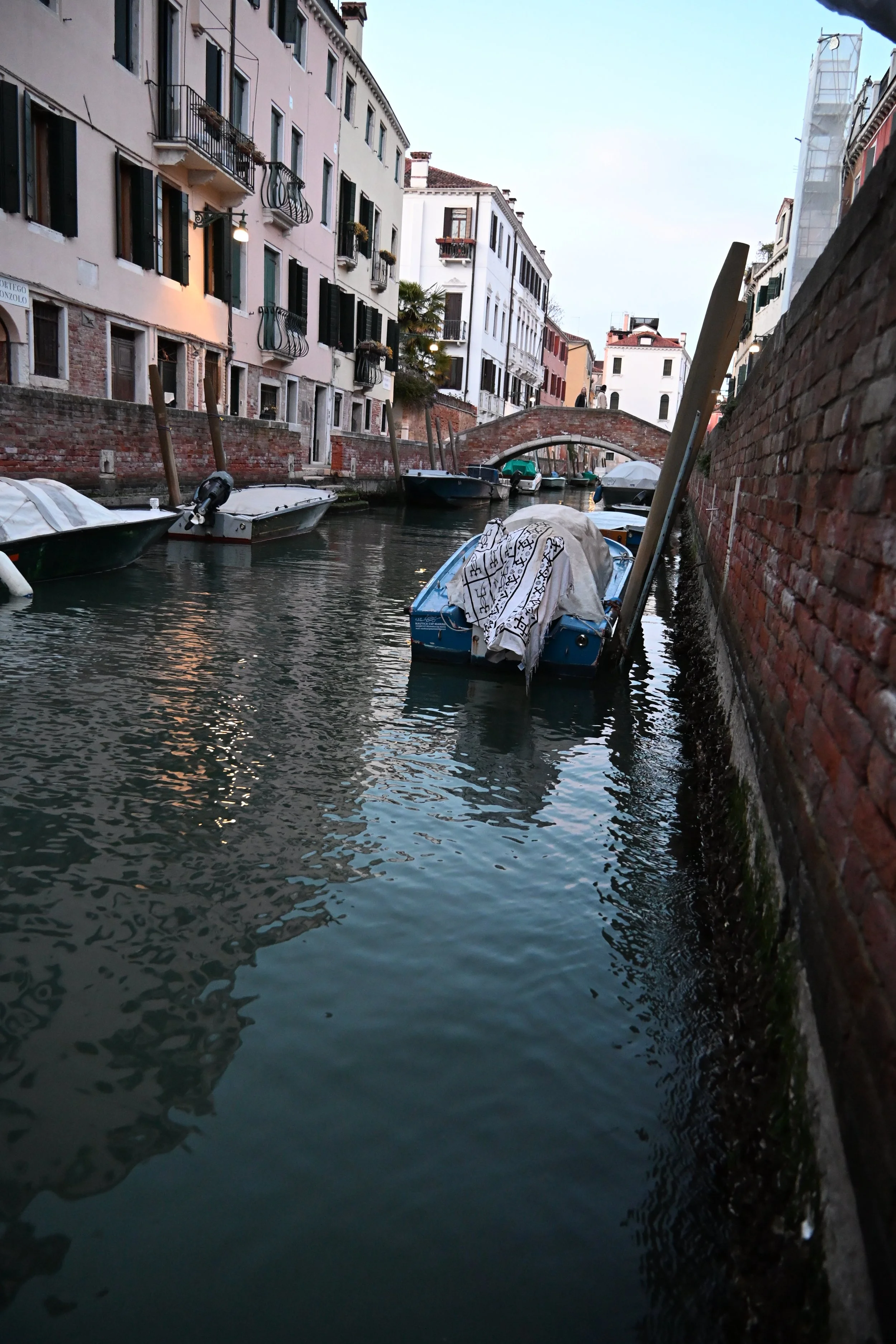 DSC_2707.JPG