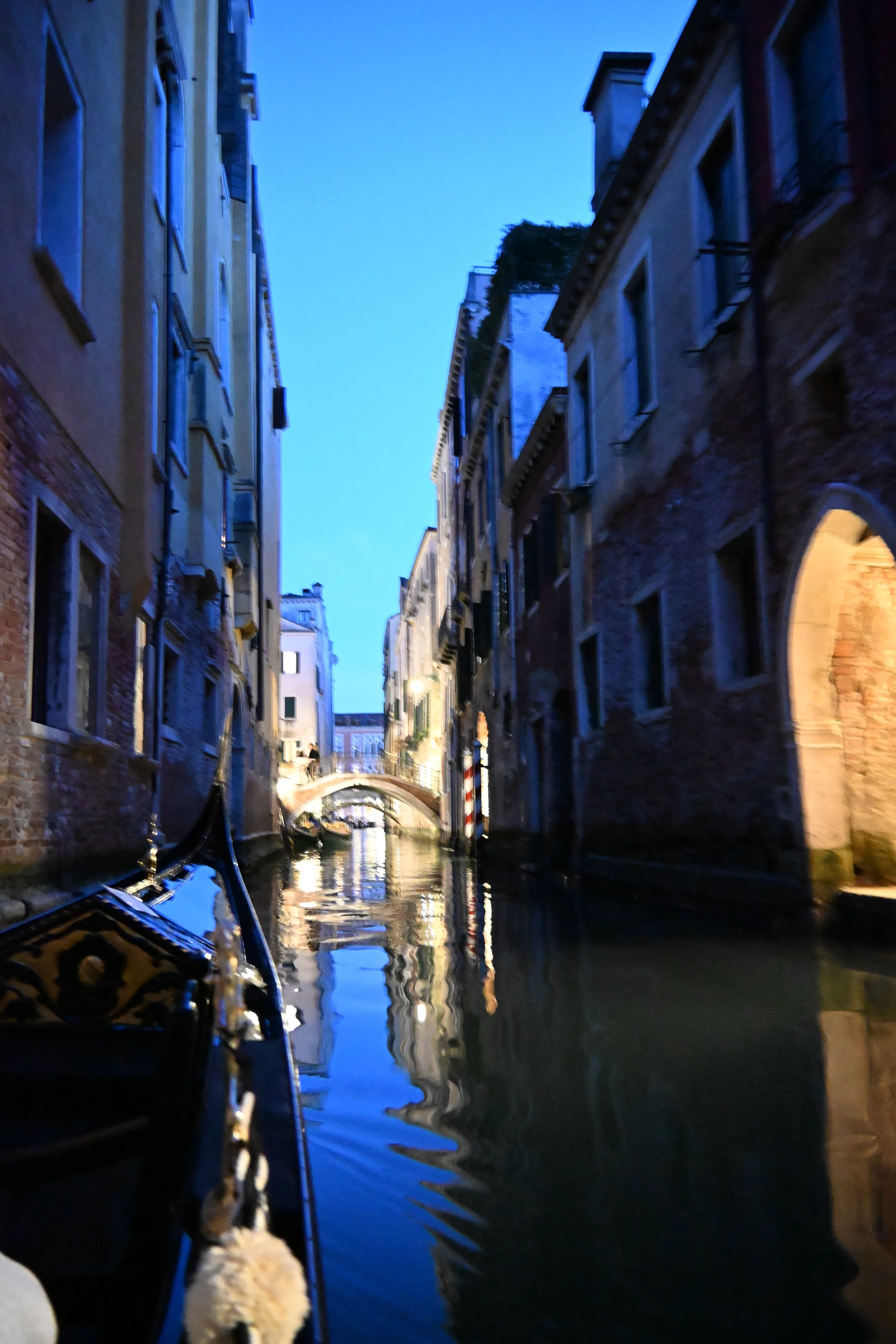 DSC_2730.JPG