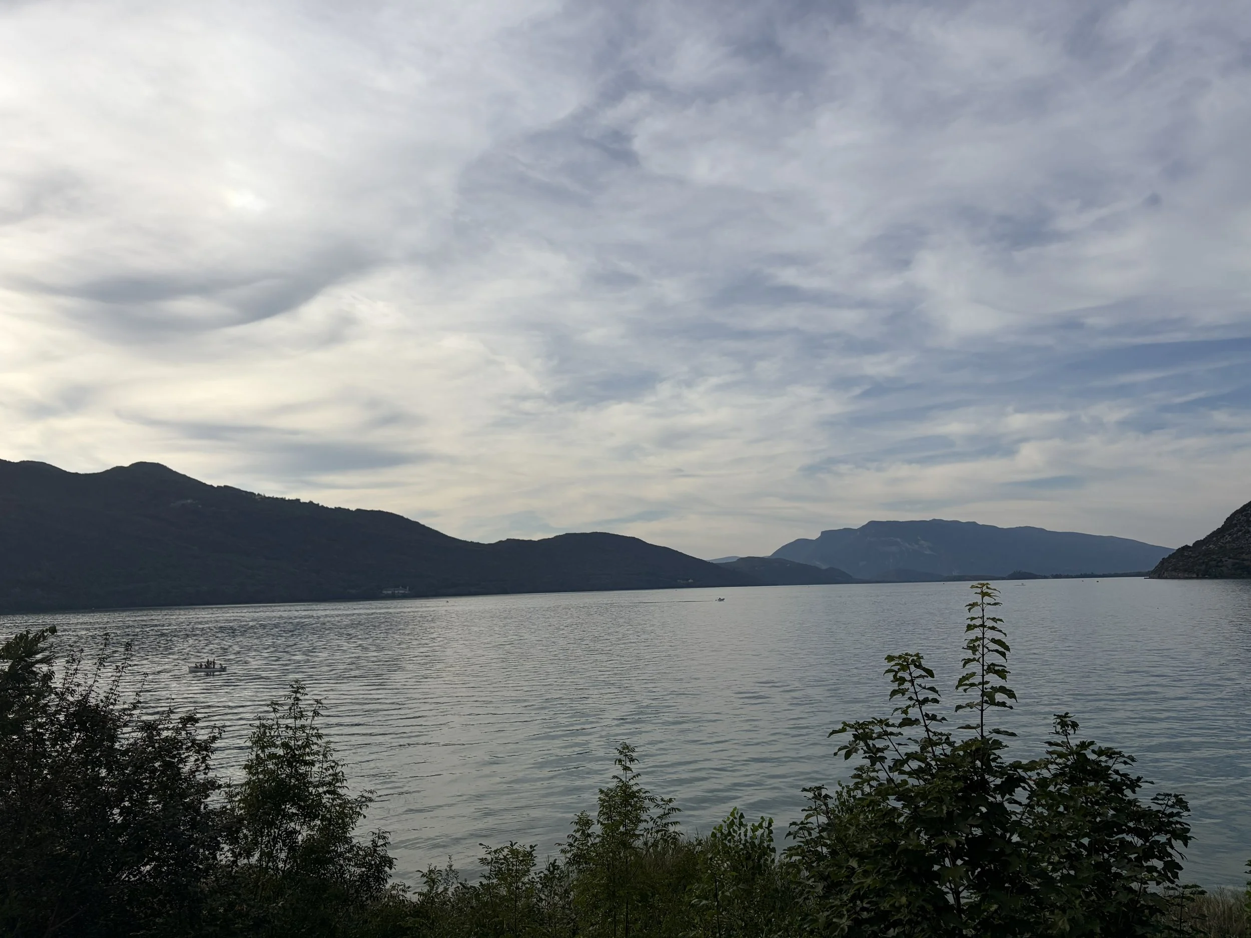 IMG_5151.jpg