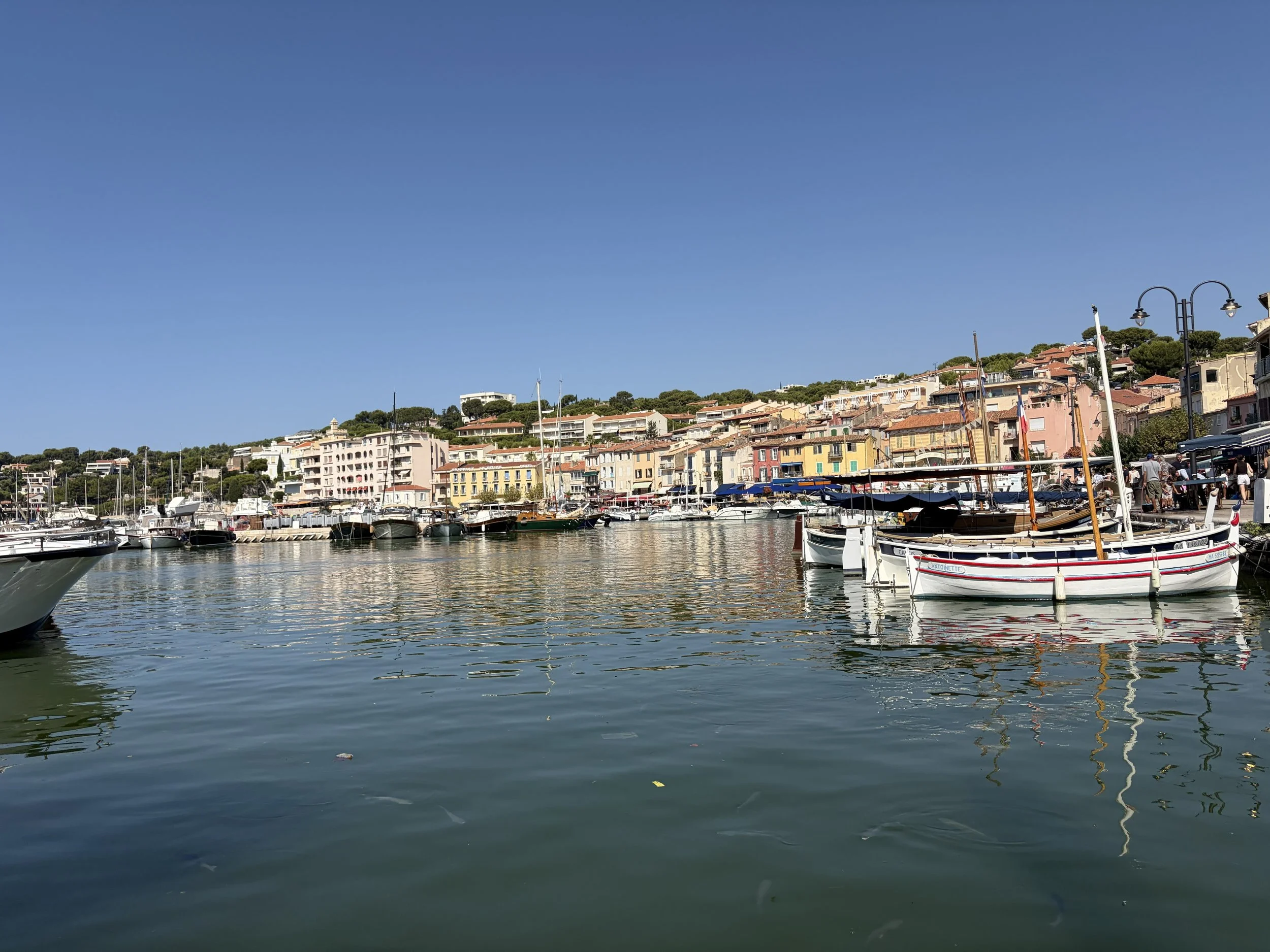 IMG_4839.jpg