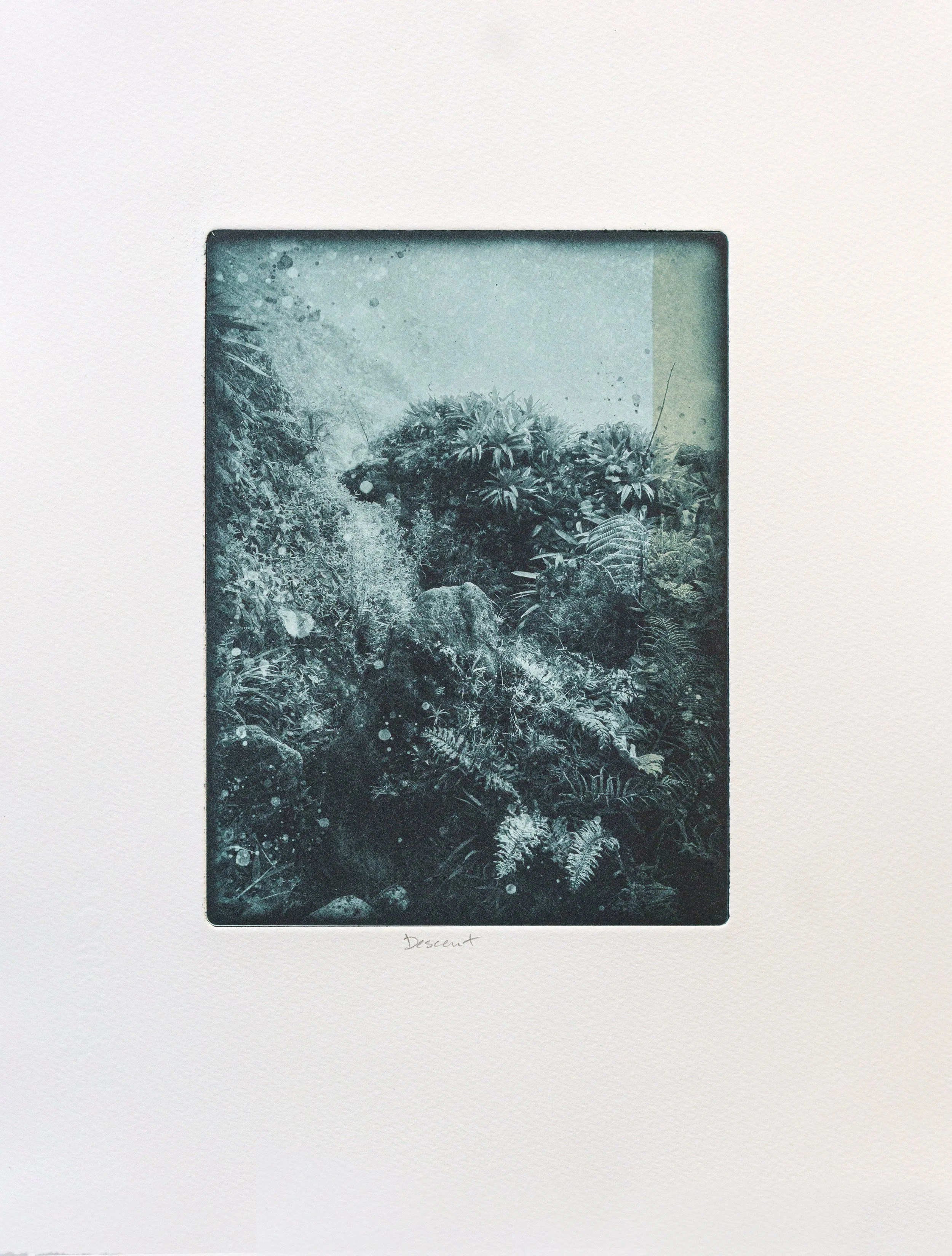 Descent - Kristina Chan.jpg