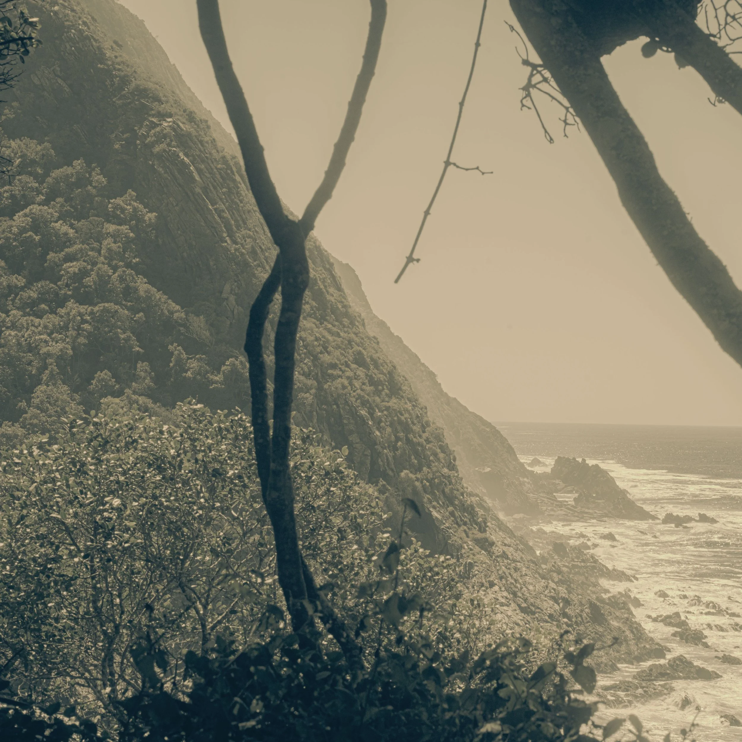 The Coast_Kristina Chan.jpg