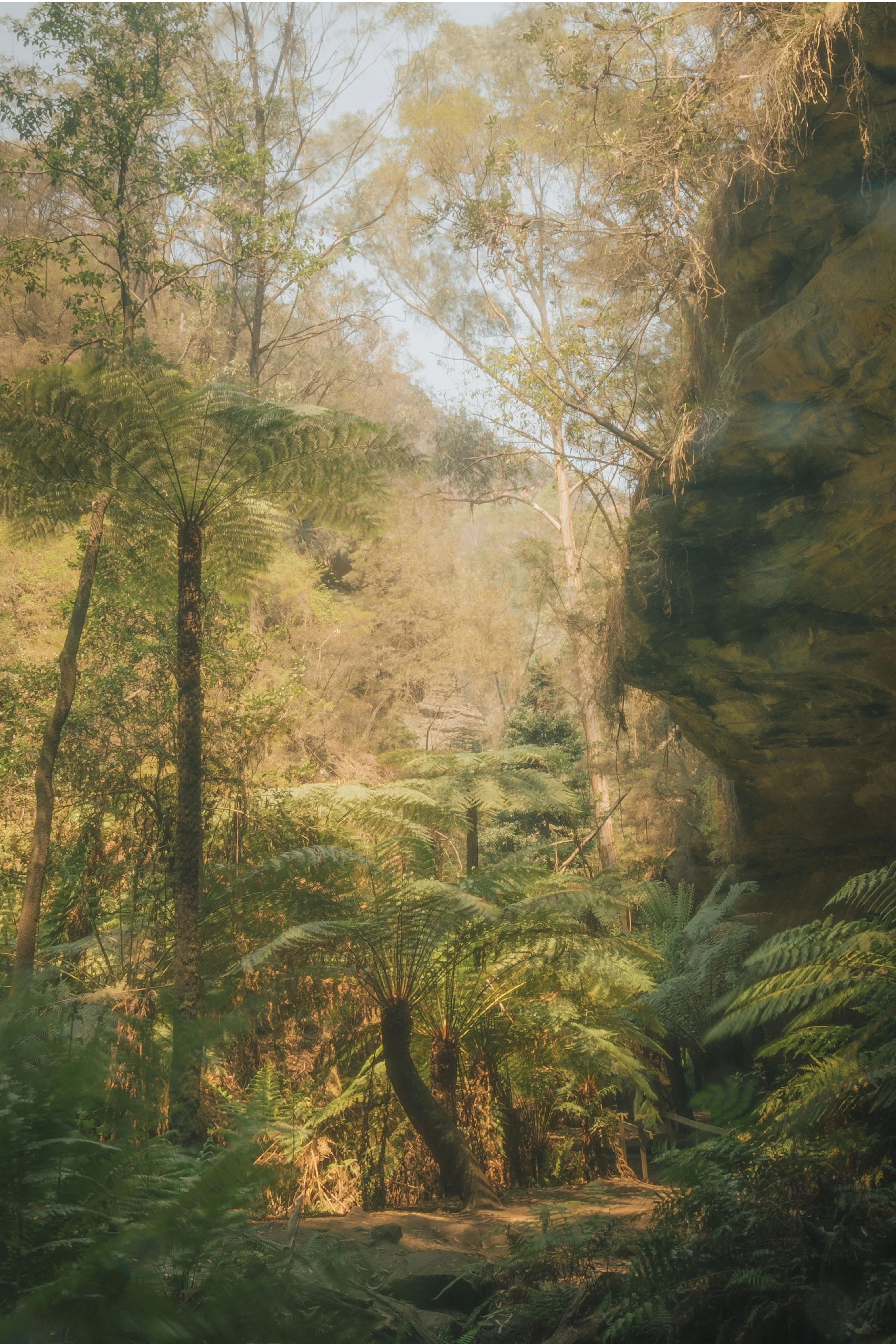 Canyon Slot_Kristina Chan.jpg