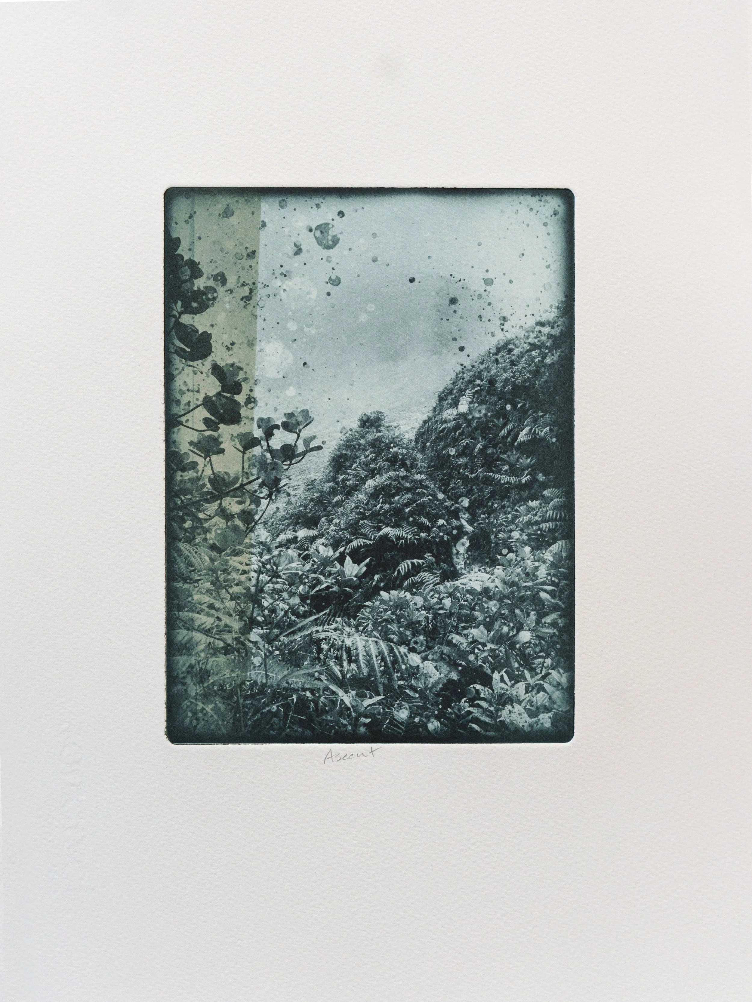 Ascent - Kristina Chan.jpg