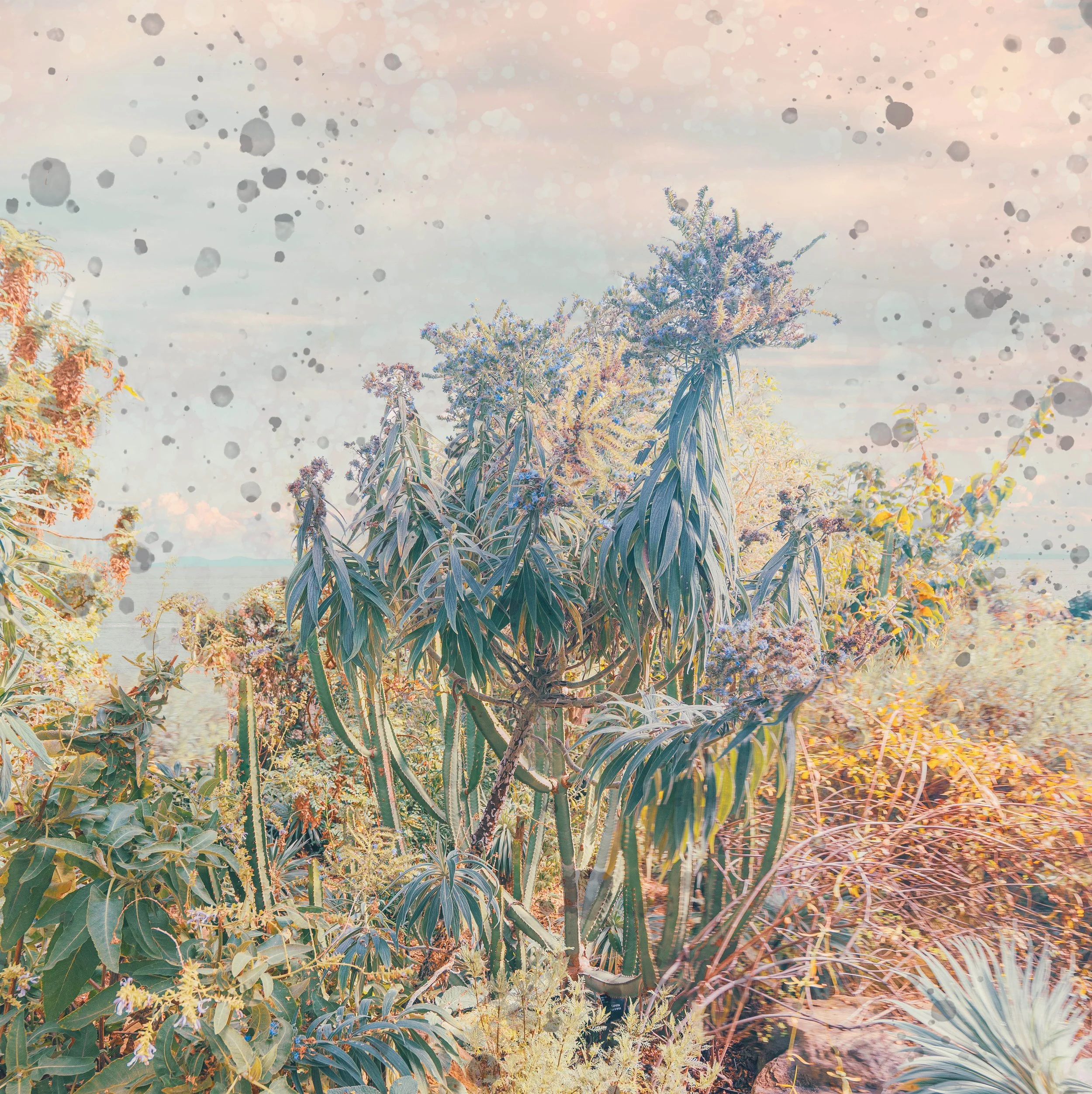 Sunsoaked 2 Kristina Chan.jpg