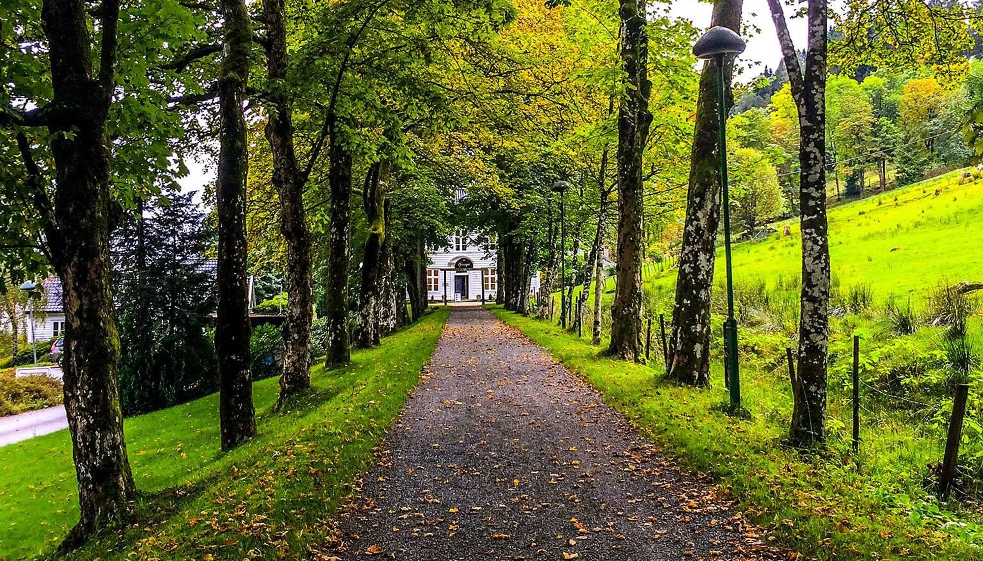 Galleri Langegården