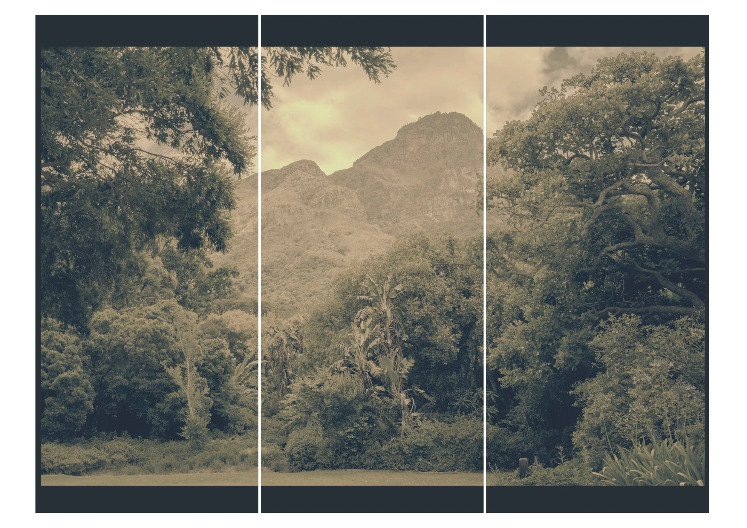 The Glade_Kristina Chan.jpg