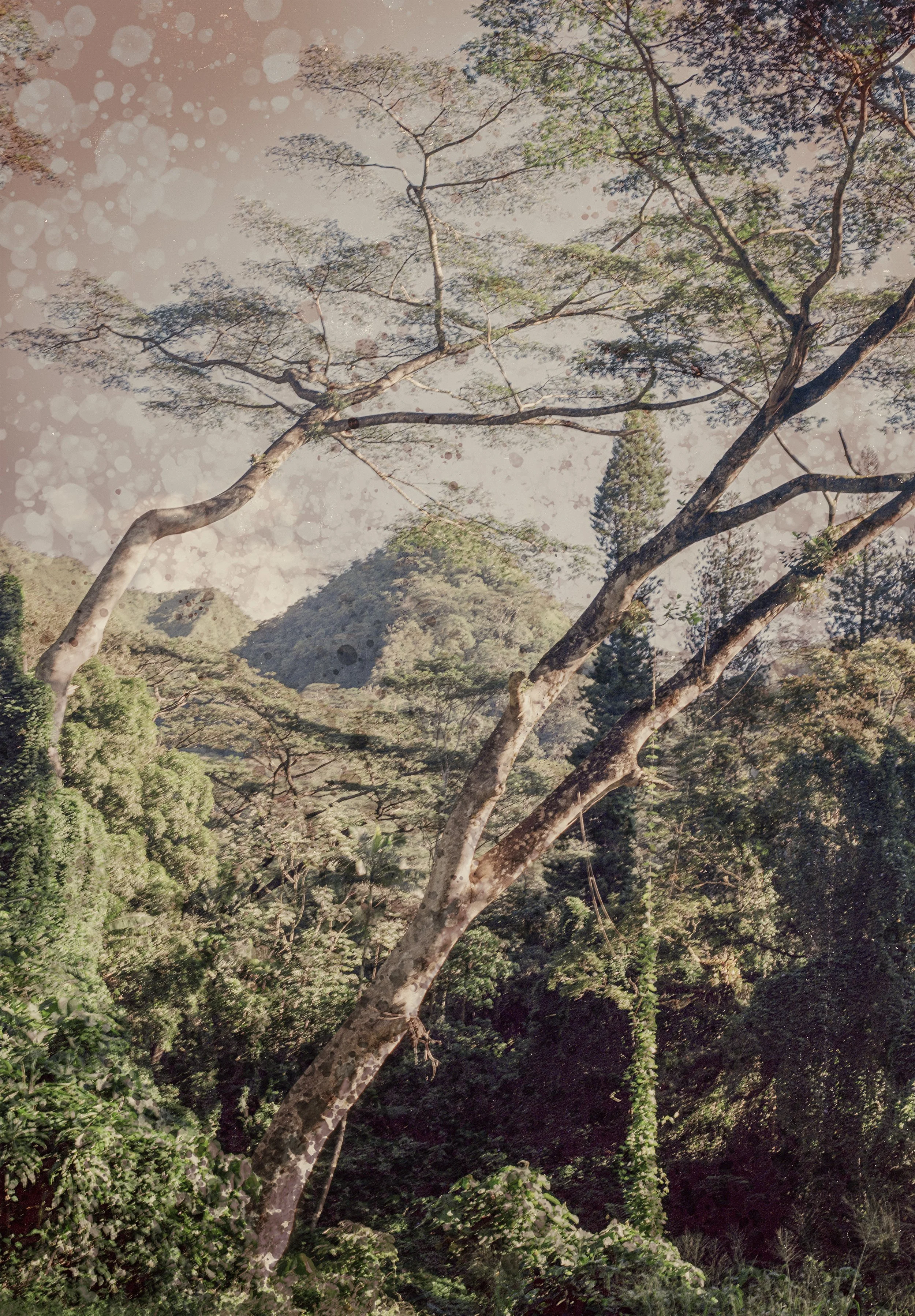 The Falls_Kristina Chan.jpg