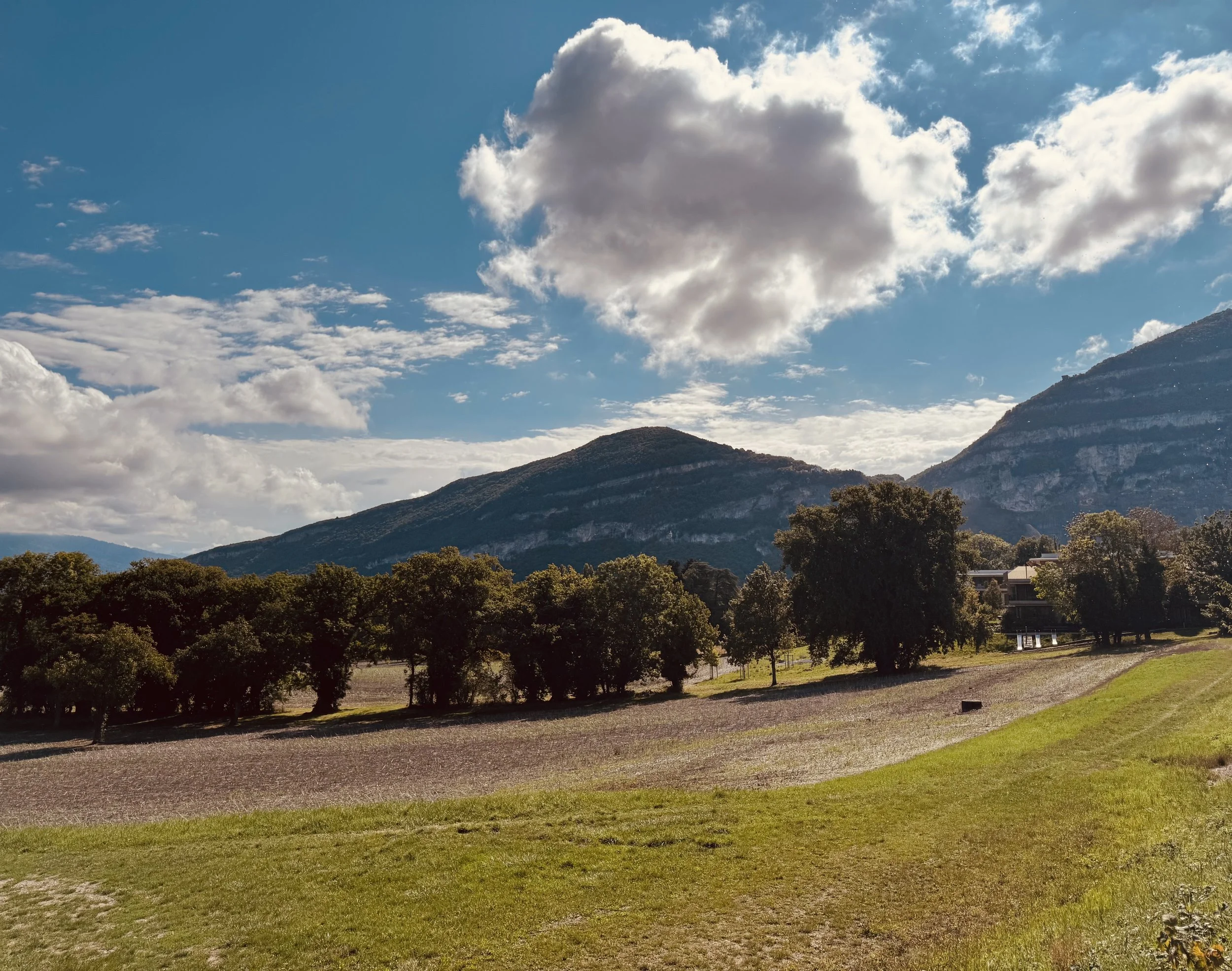 A scenic landscape with a mountain range under a partly cloudy sky, featuring lush green trees and a grassy field in the foreground.