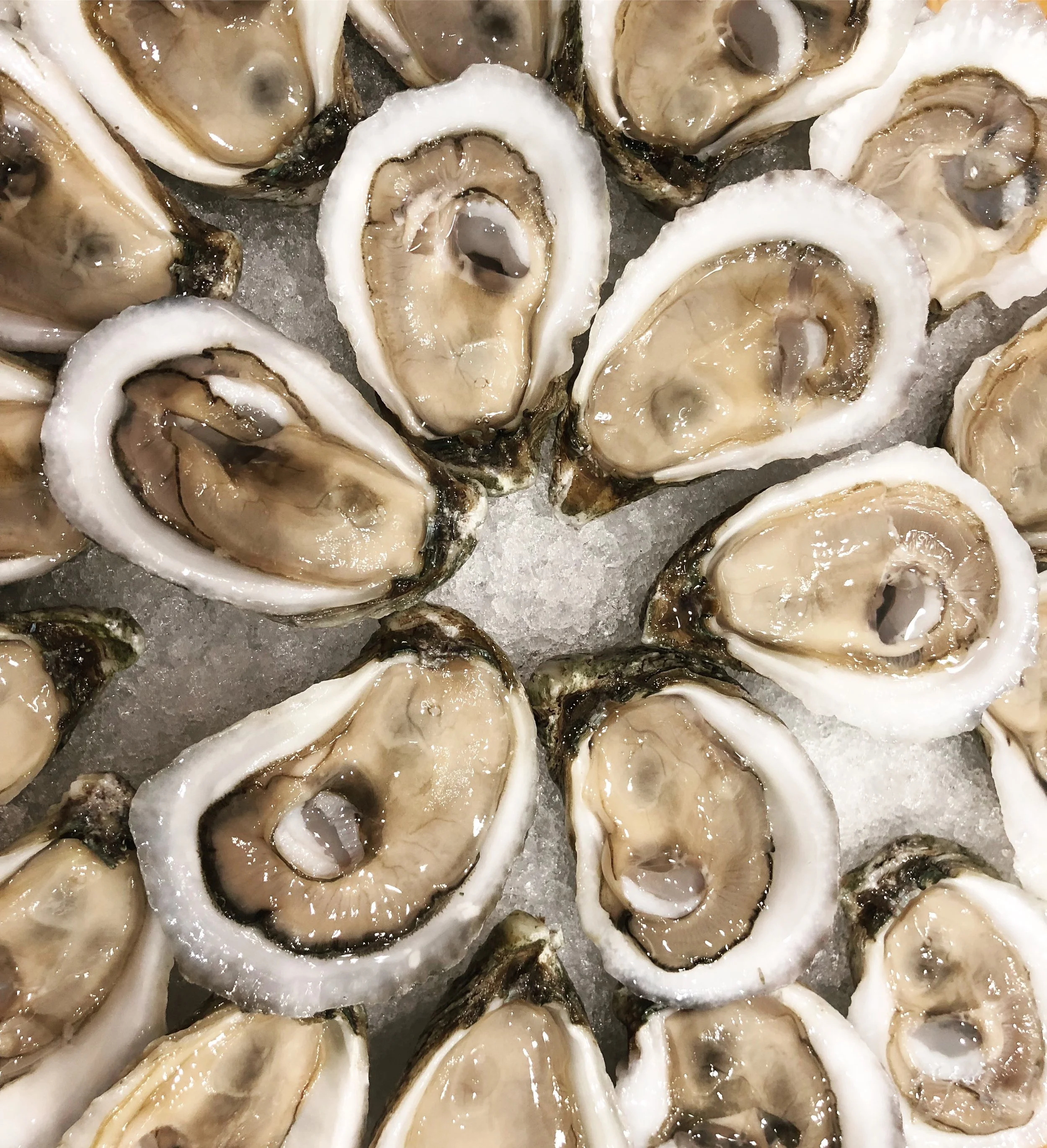 murder point oysters on the half shell