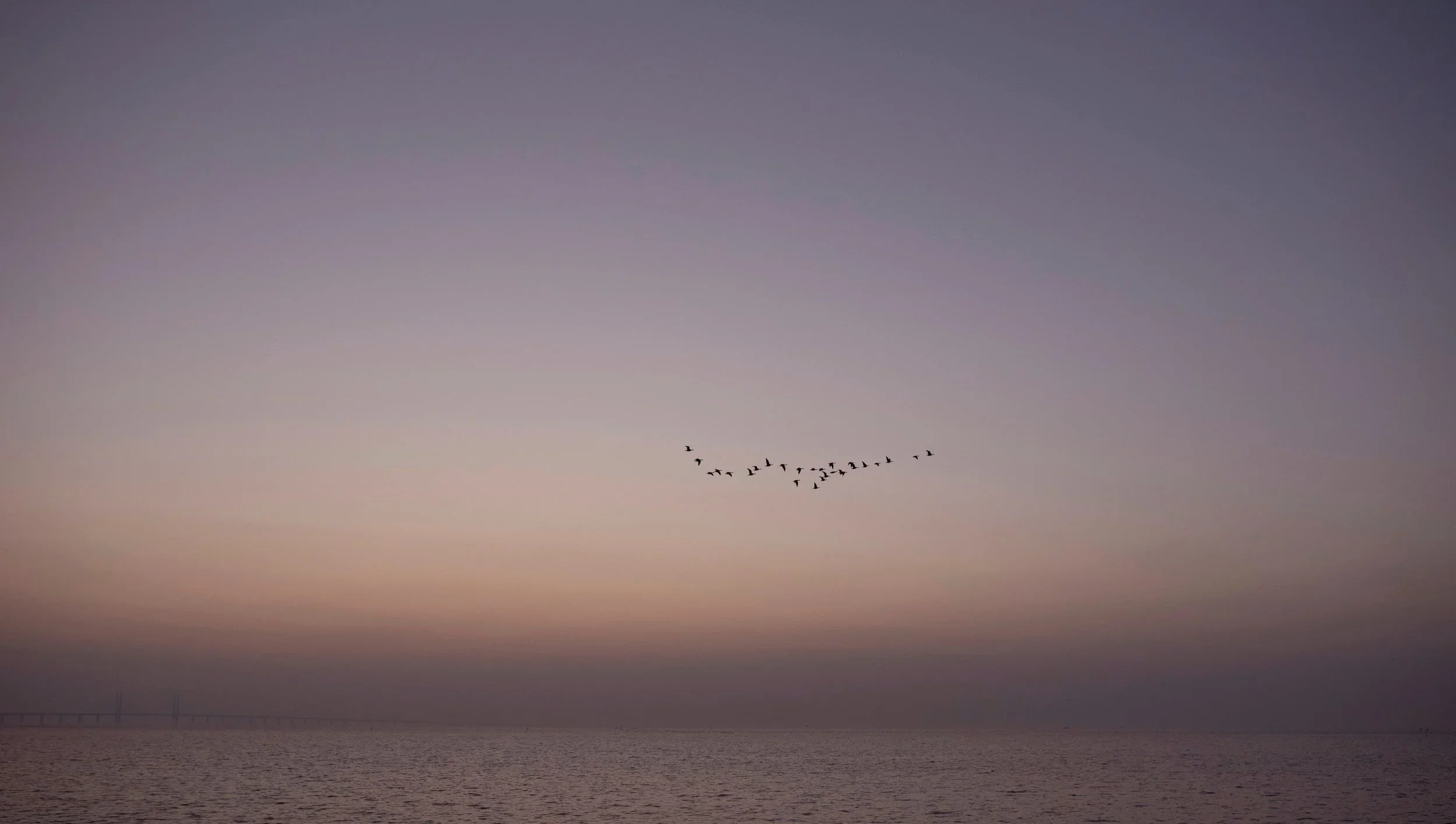 Horisont och fåglar [Canvastavla]
från 350,00 kr
Canvastavla med lugnt motiv
Fotograf: Jasmin E. Hållberg

Stillsam horisont, hav och fåglar
Liggande format i tre mått/med ekram
Leveranstid 5-7 dagar

Miljövänlighet i åtanke: Tryckeriet är certifiera