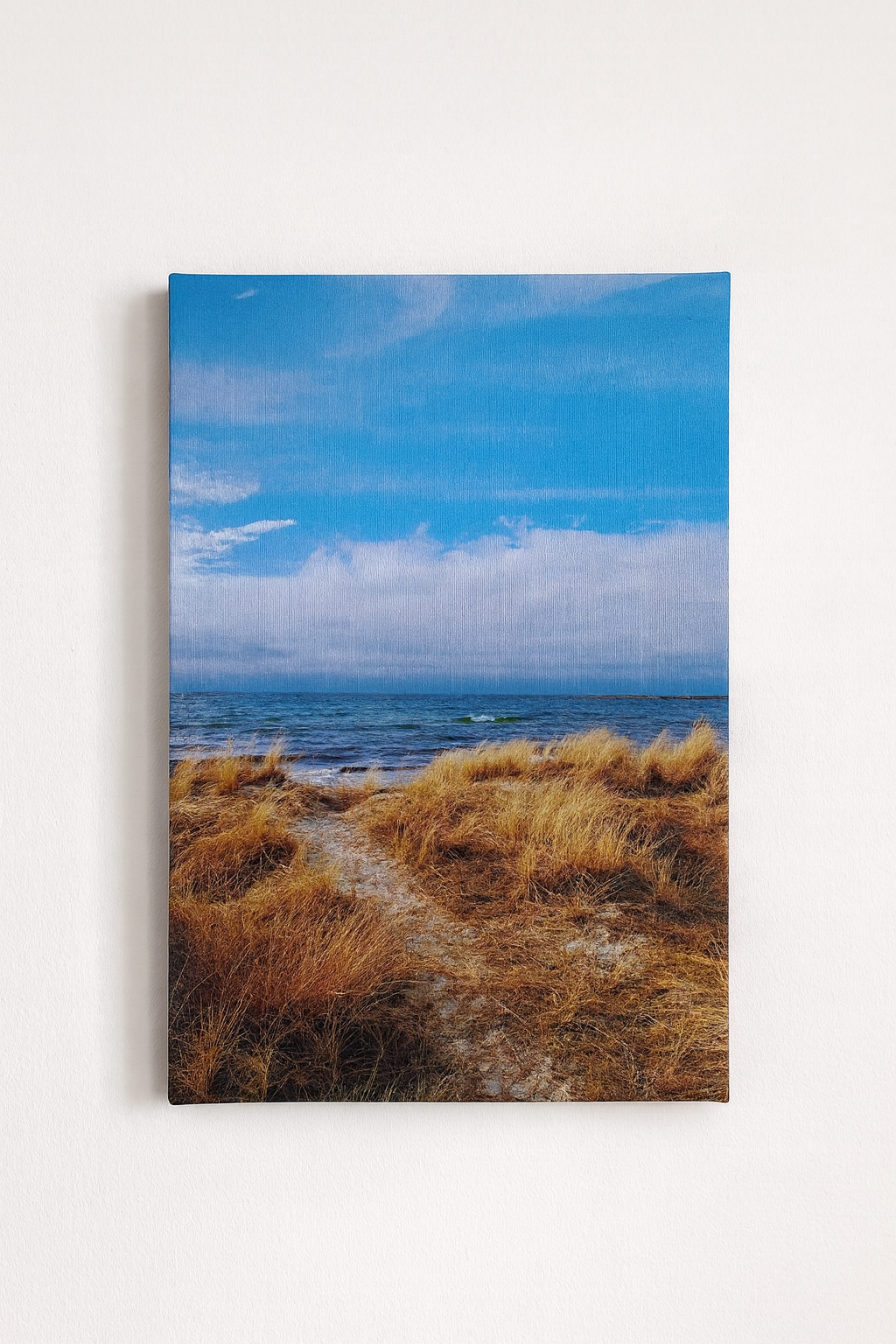 Hav och strand [Canvastavla]
från 350,00 kr
Canvastavla med strandmotiv 

Hav och strand i Höllviken på Näset

Fotograf: Jasmin E. Hållberg

Stående format i 20×30 cm, ram tillval

Leveranstid 5-7 dagar

Miljövänlighet i åtanke: Tryckeriet är certifi