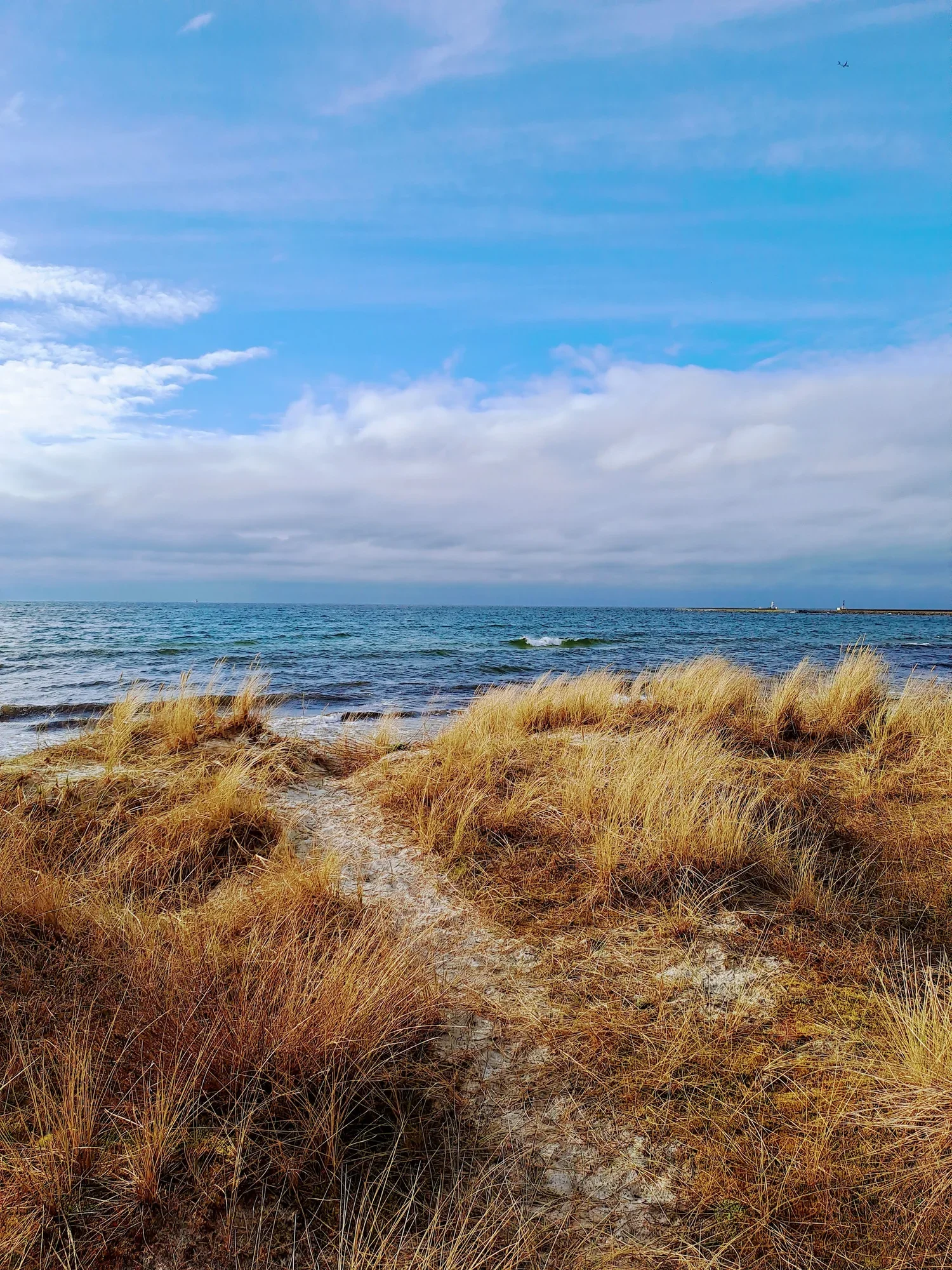 Hav och strand [Canvastavla]
från 350,00 kr
Canvastavla med strandmotiv 

Hav och strand i Höllviken på Näset

Fotograf: Jasmin E. Hållberg

Stående format i 20×30 cm, ram tillval

Leveranstid 5-7 dagar

Miljövänlighet i åtanke: Tryckeriet är certifi