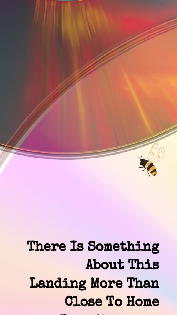 CTH+bookmark+b.png