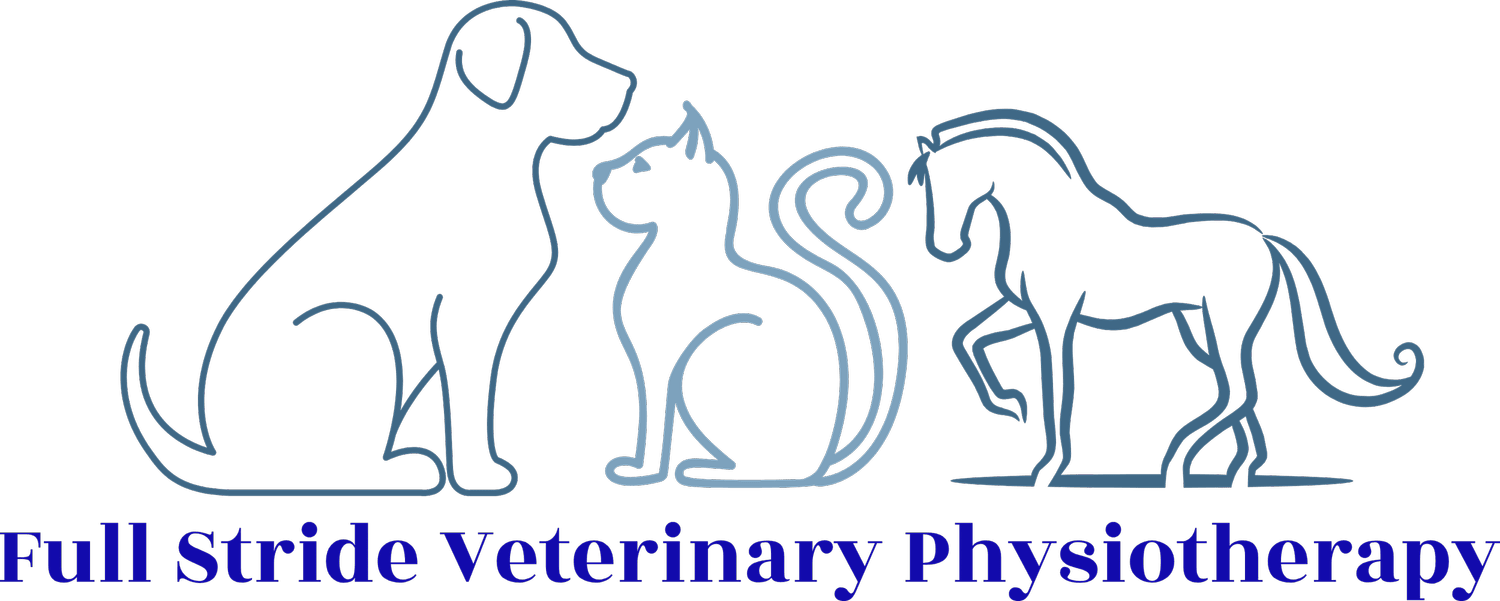 Full Stride Veterinary Physiotherapy 