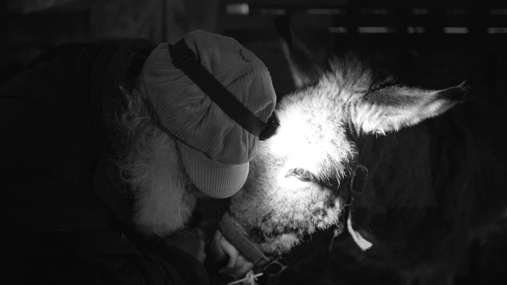 Still 2025-11-25 232646_1.1.46.png