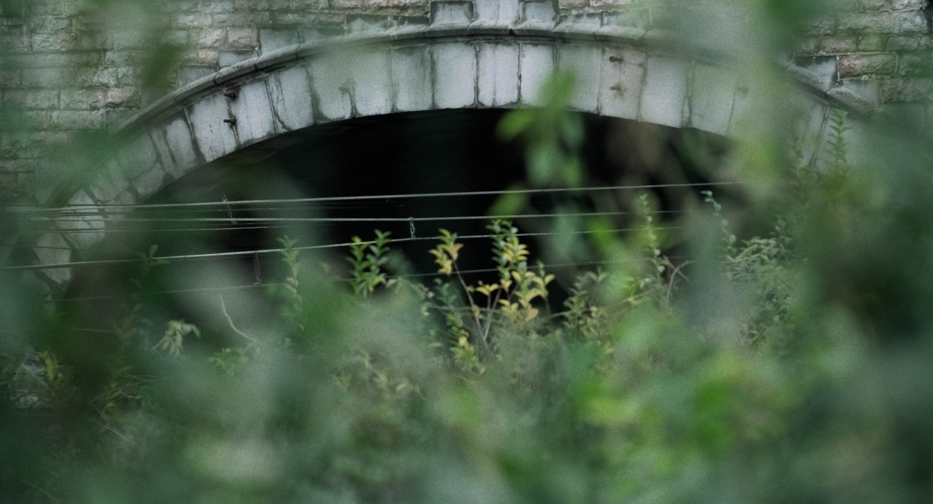 Still 2025-11-25 210115_1.39.1.png