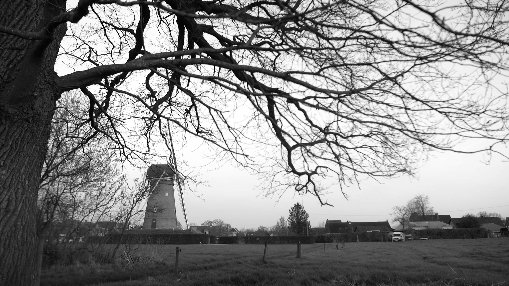 Still 2025-11-25 232646_1.1.37.png