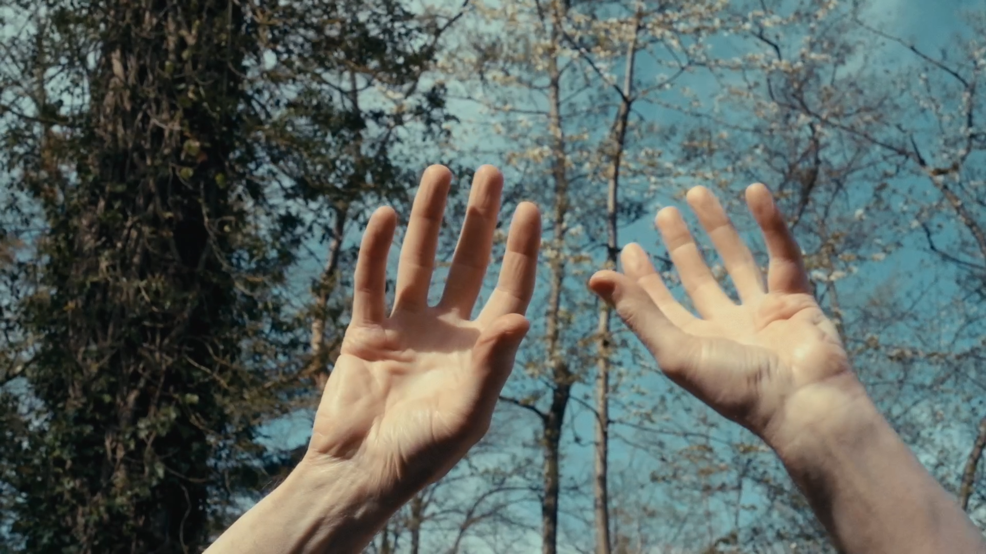 Still 2026-01-10 101828_1.1.1.png