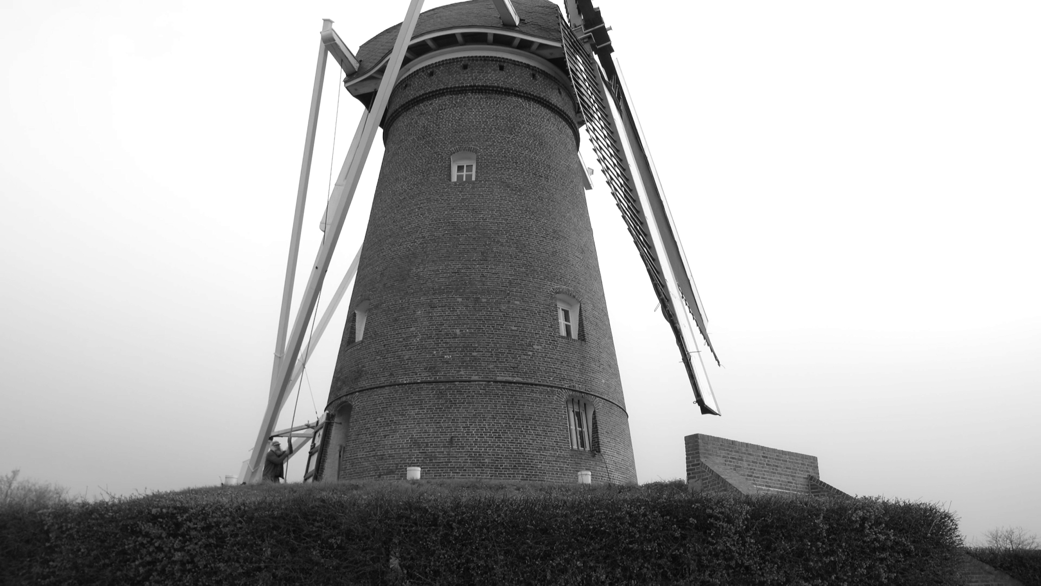 Still 2025-11-25 232646_1.1.27.png