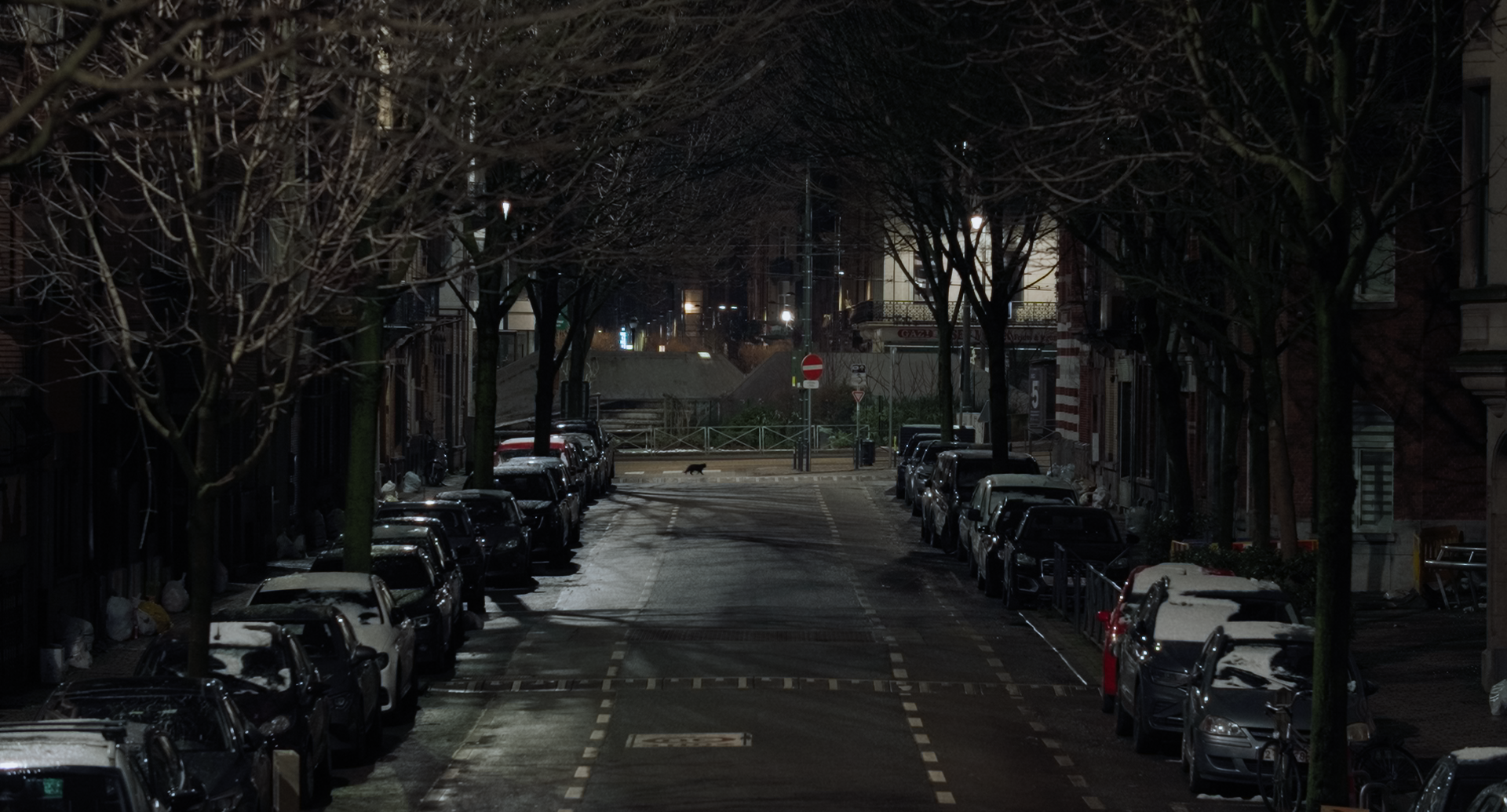 Still 2025-11-25 210115_3.1.1.png