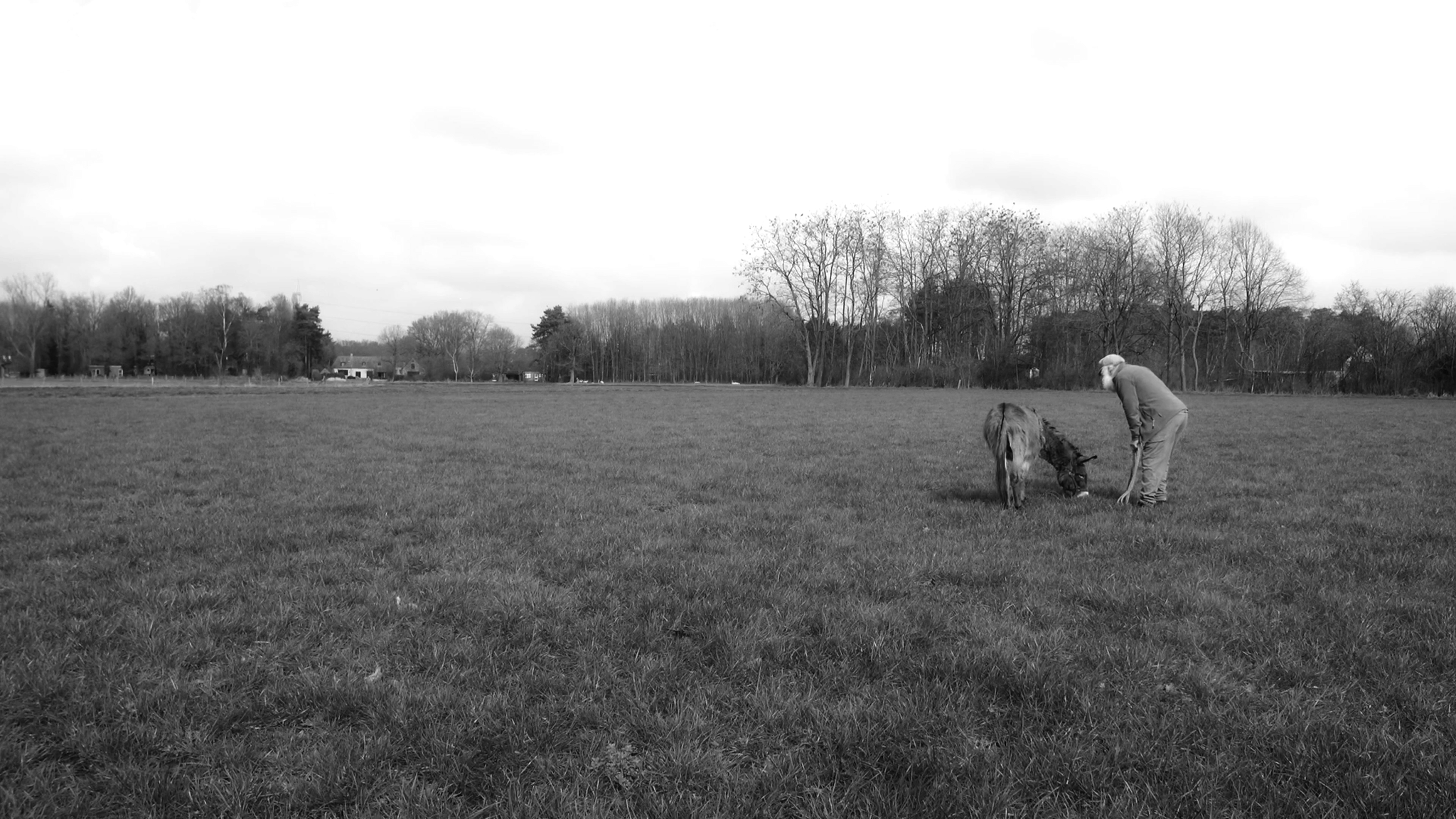 Still 2025-11-25 232646_1.1.20.png