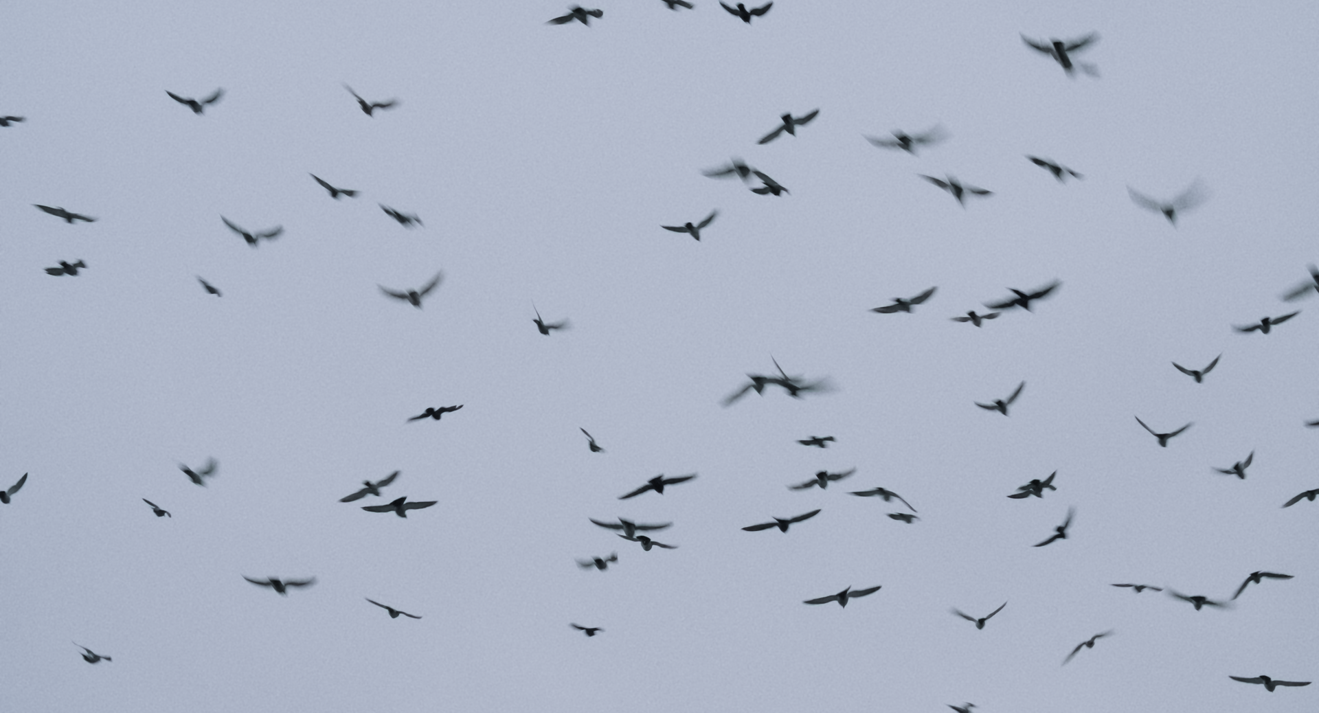 Still 2025-11-25 210115_1.20.1.png