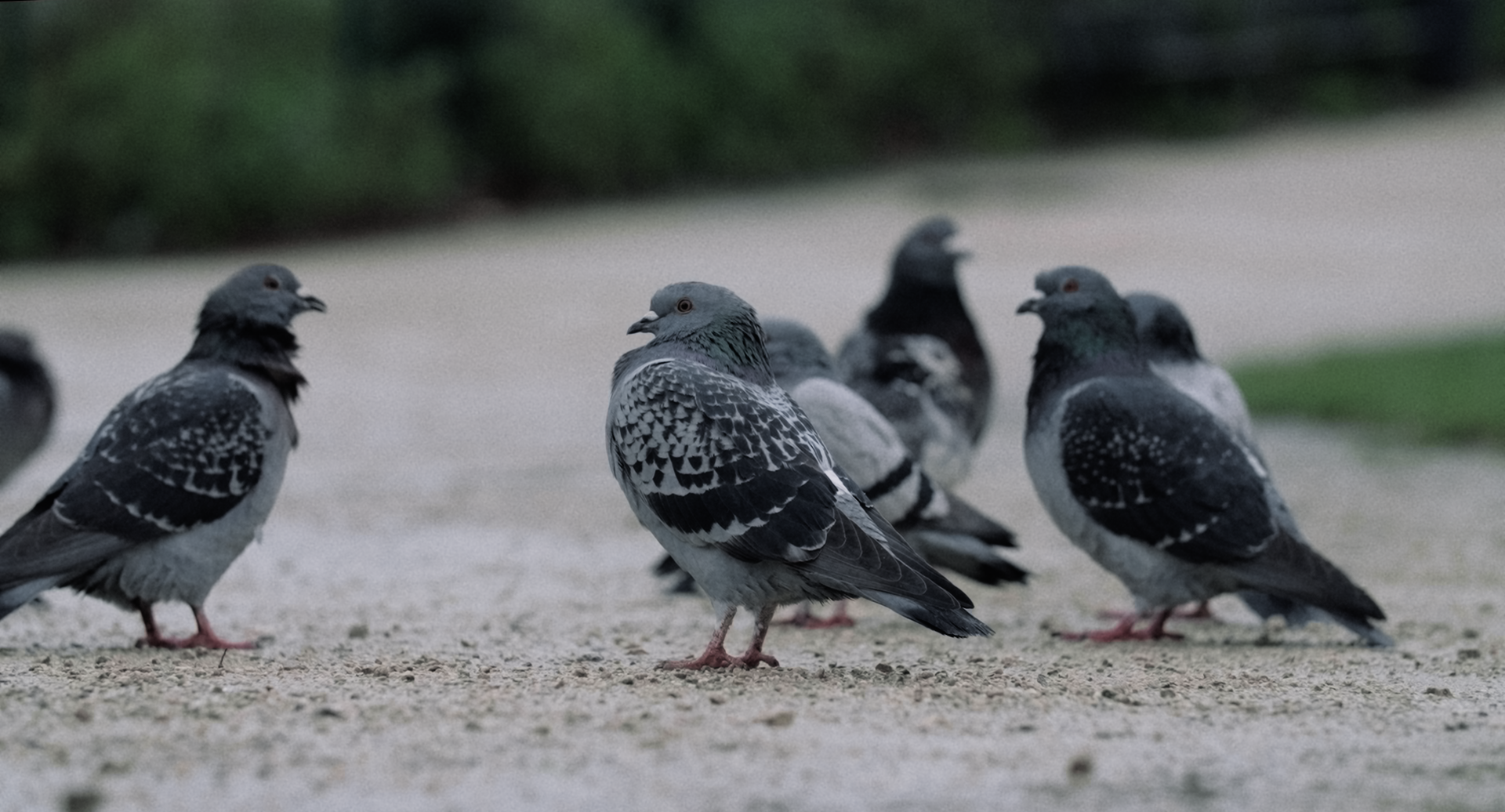 Still 2025-11-25 210115_1.37.1.png