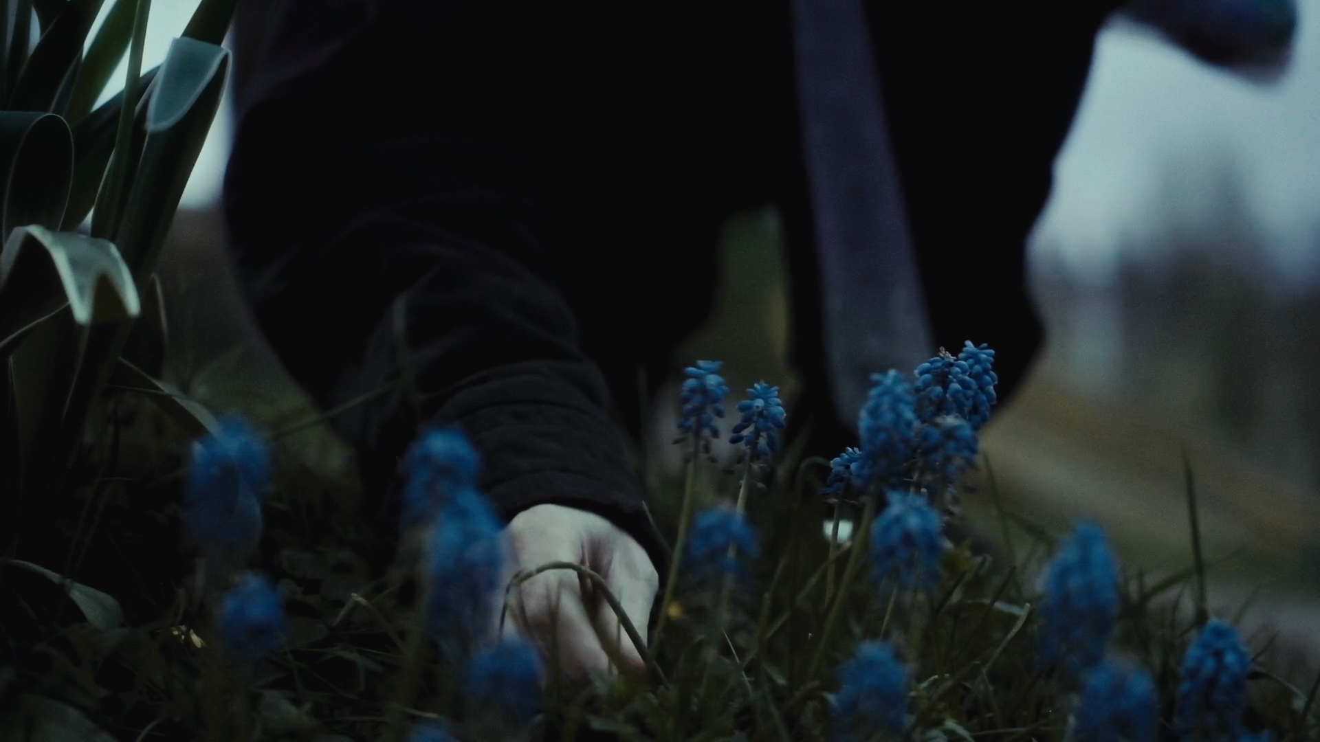 Still 2026-01-10 101828_1.1.16.png