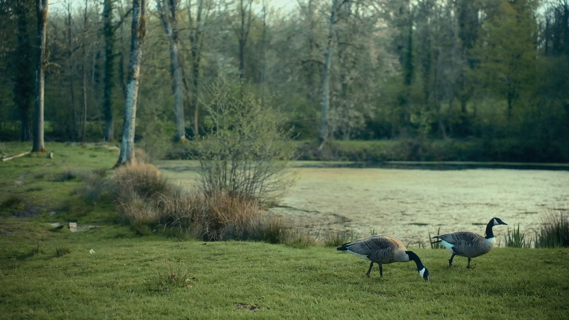 Still 2026-01-10 101828_1.1.6.png