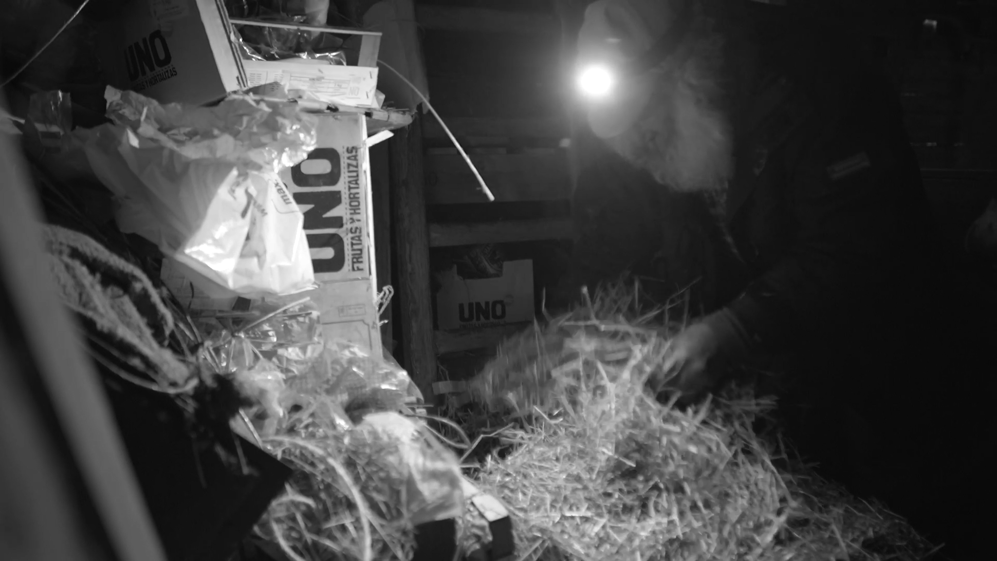 Still 2025-11-25 232646_1.1.44.png