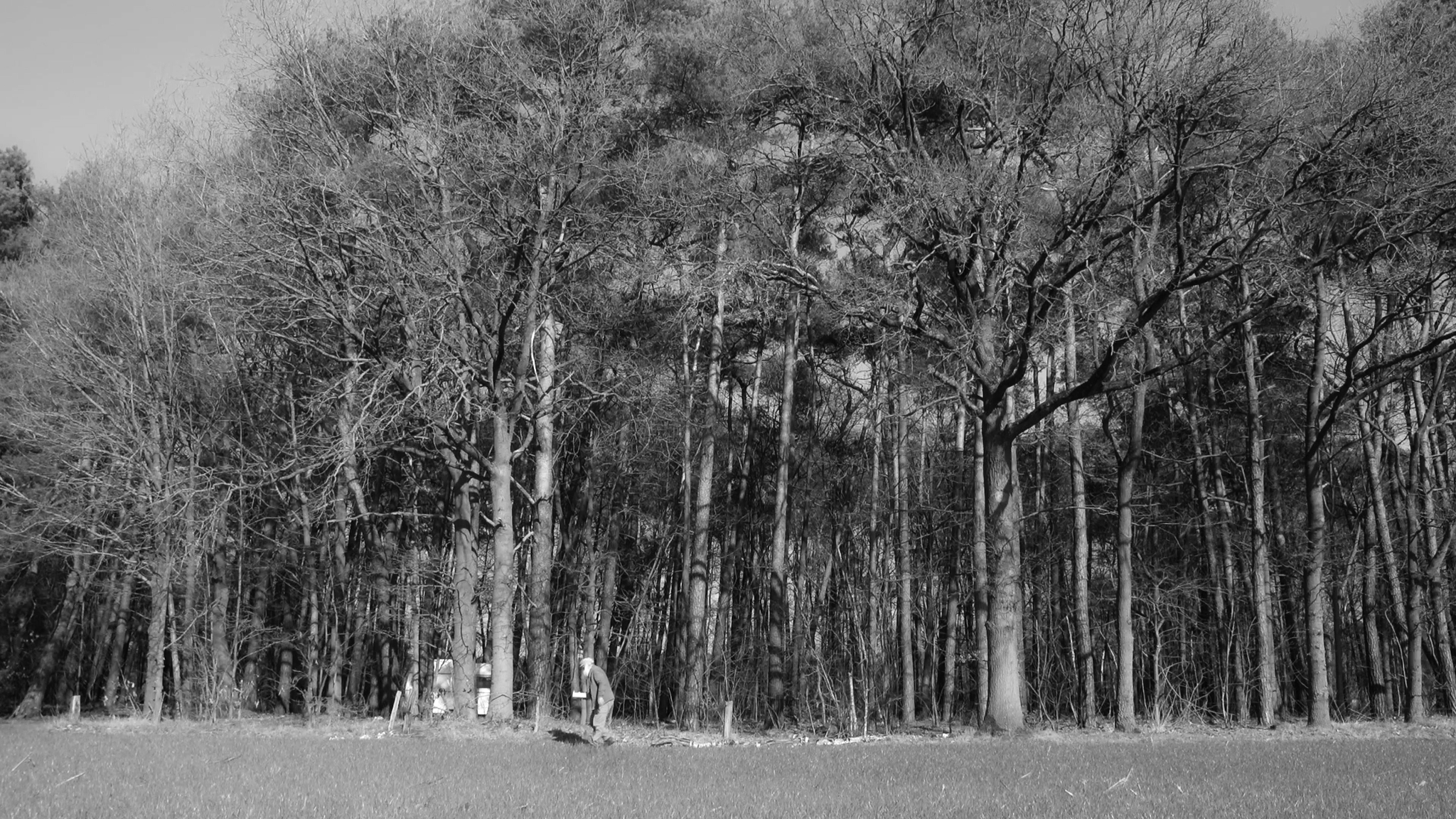 Still 2025-11-25 232646_1.1.33.png