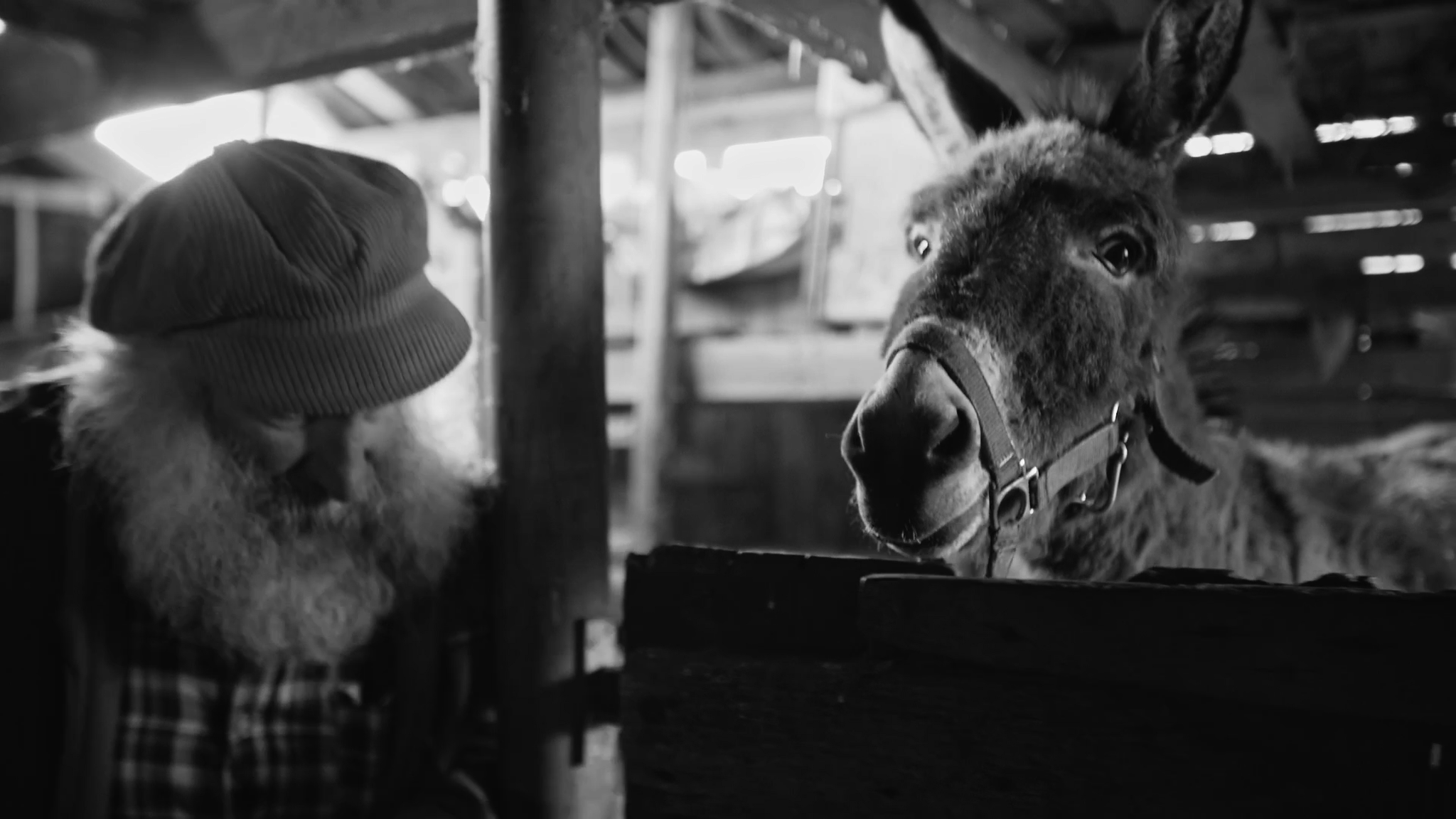 Still 2025-11-25 232646_1.1.8.png