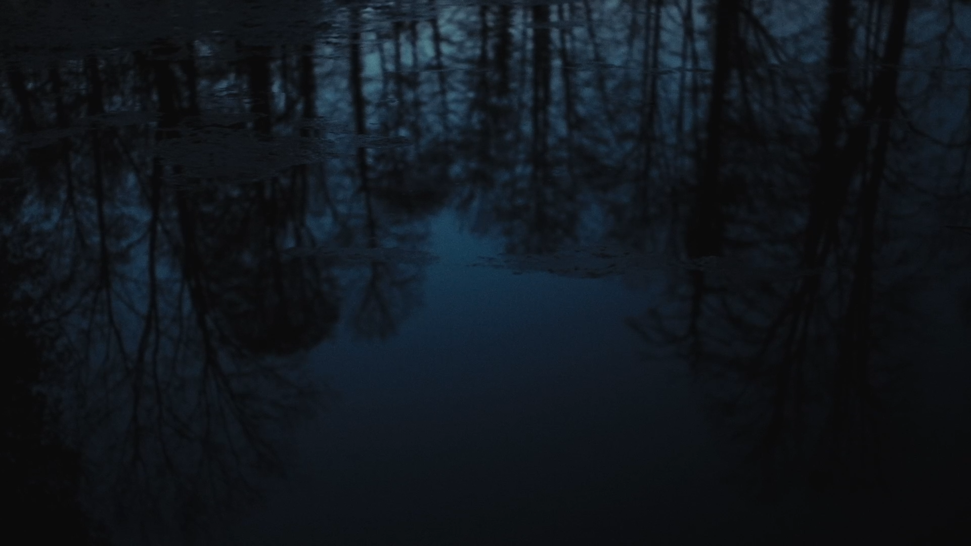 Still 2026-01-10 101828_1.1.28.png